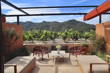 17 terras met uitzicht op de wijngaarden