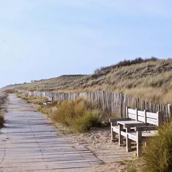 Ontdek de parels van Bretagne, Bordeaux en de Loire