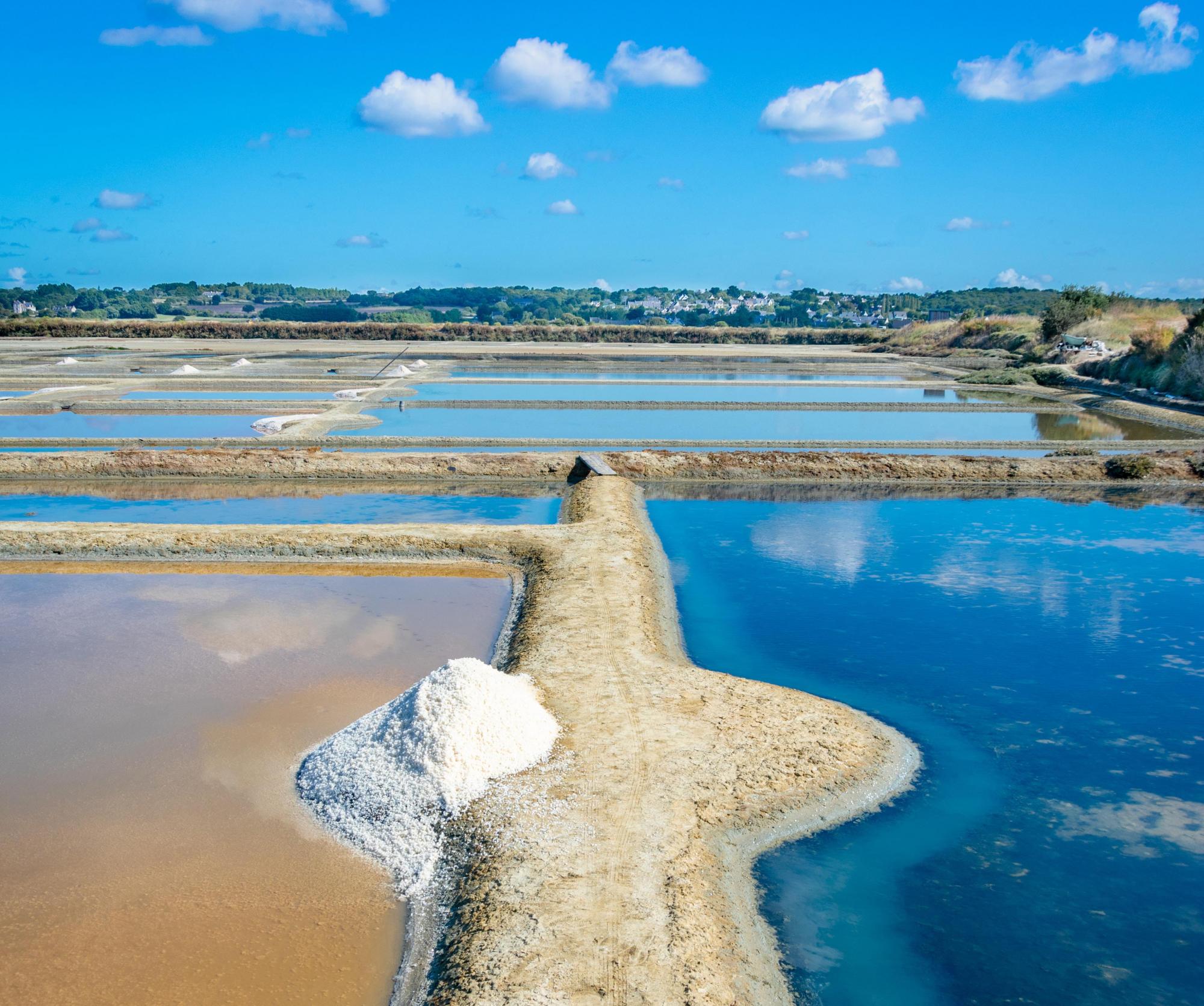 Eten en drinken als God in Frankrijk