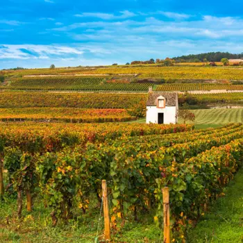 Bekoorlijk Bourgondië