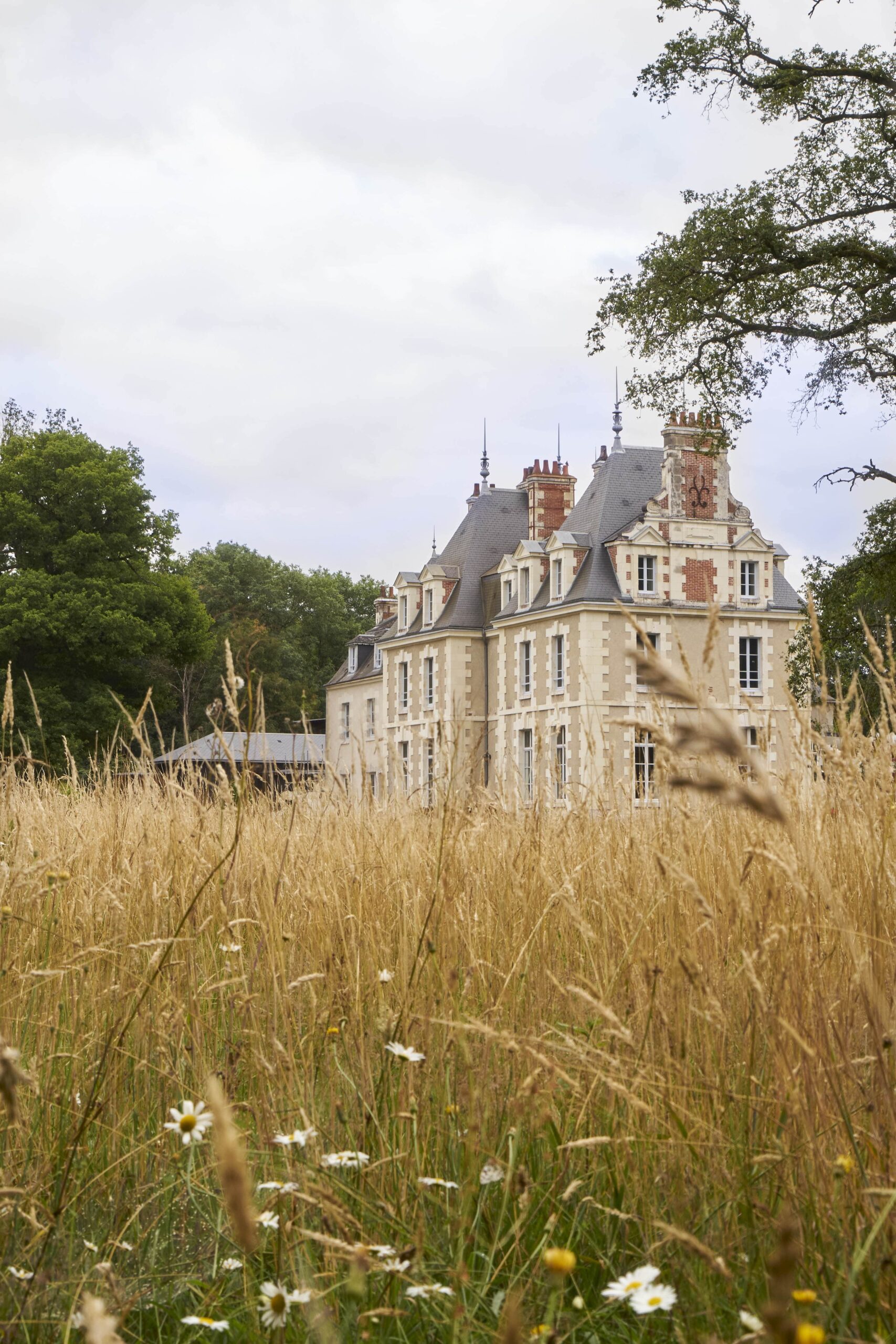 lessourcesdecheverny chateaudubreuil  mpmorel 2020 8 min scaled