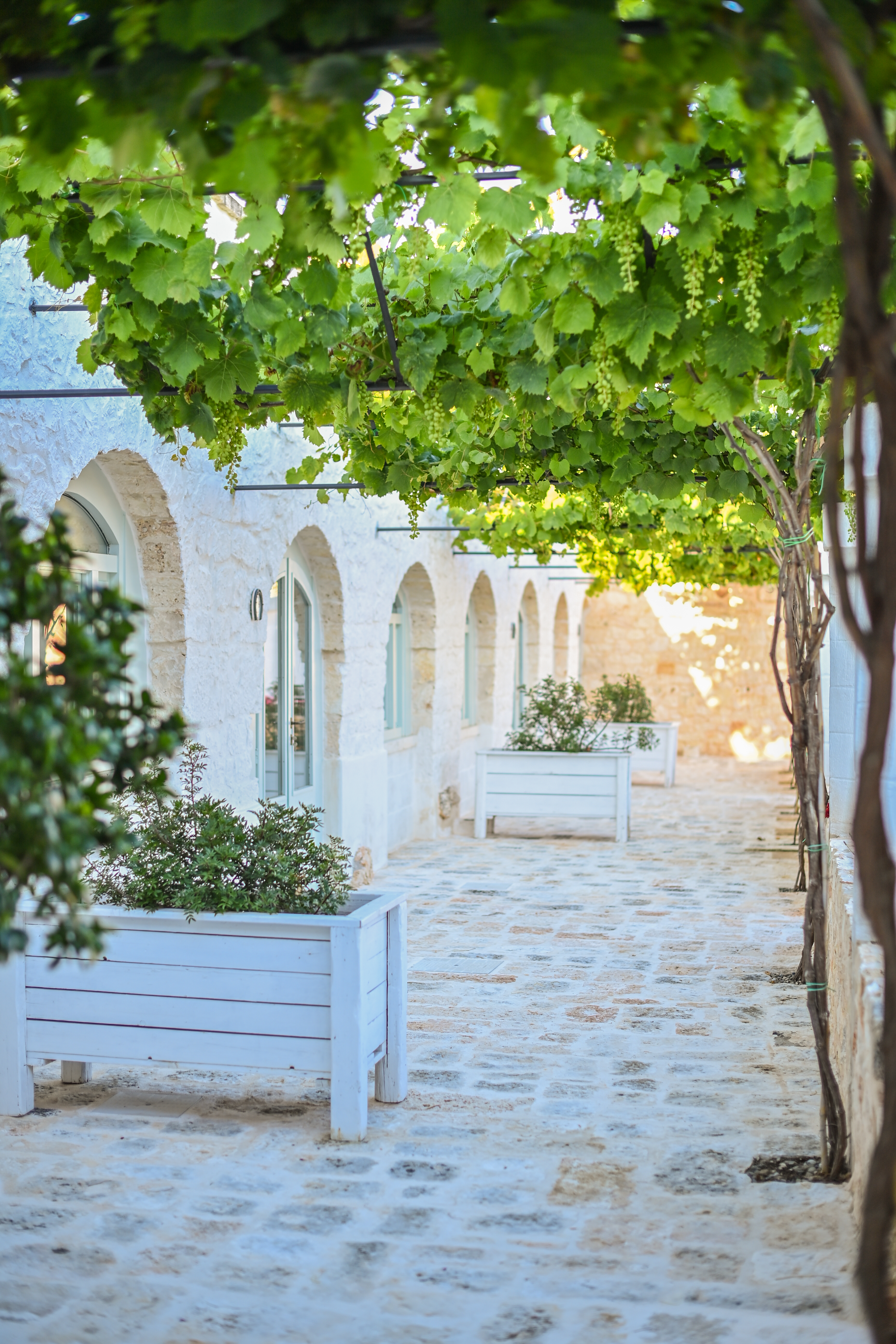 masseria ayroldi 24