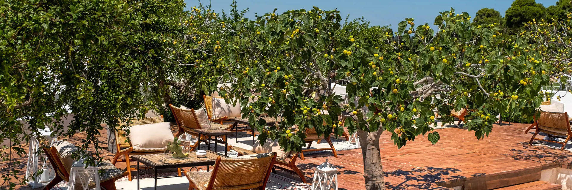 la limonaia bar baglioni masseria muzza 2