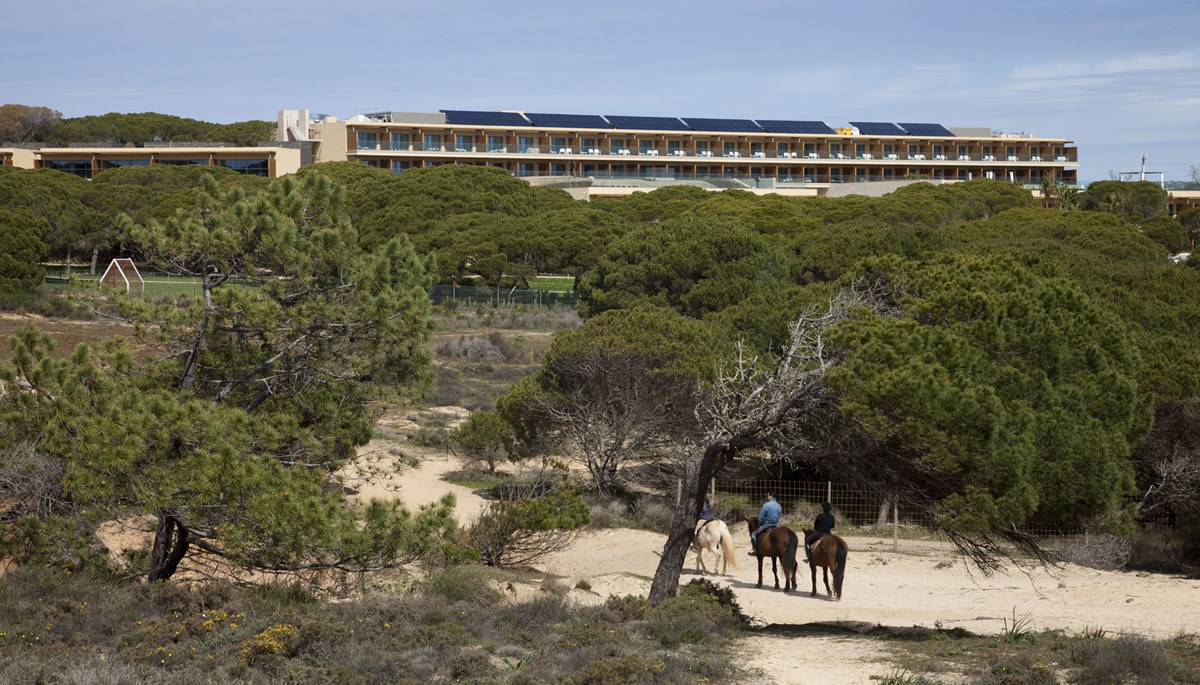 hotel  surroundings