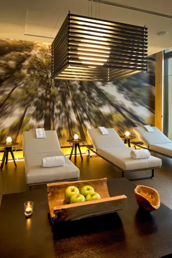 spa  relaxation room