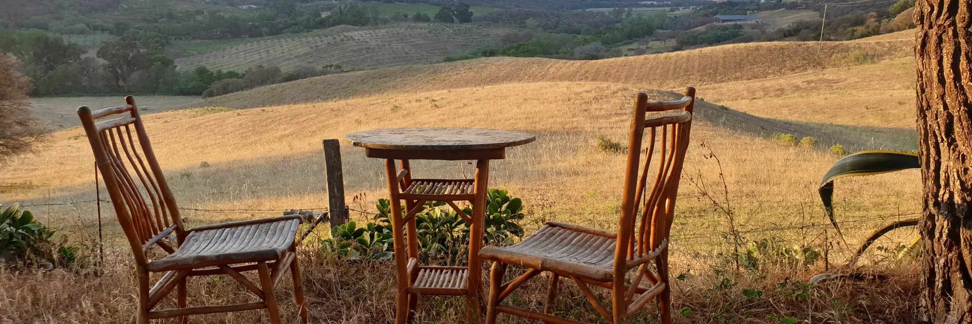 frrr0020 tafeltje noord corsica