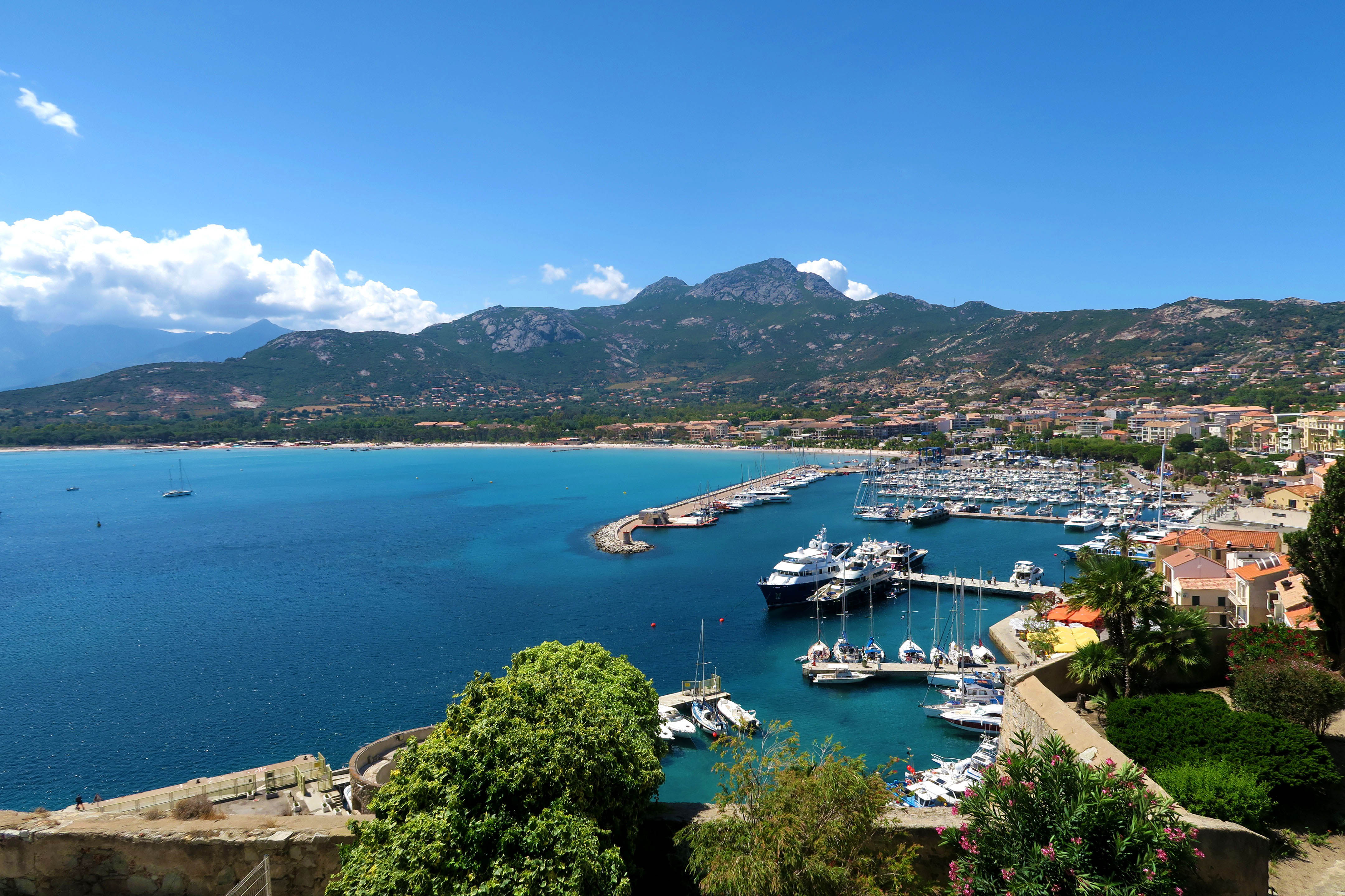 frrr0020 calvi