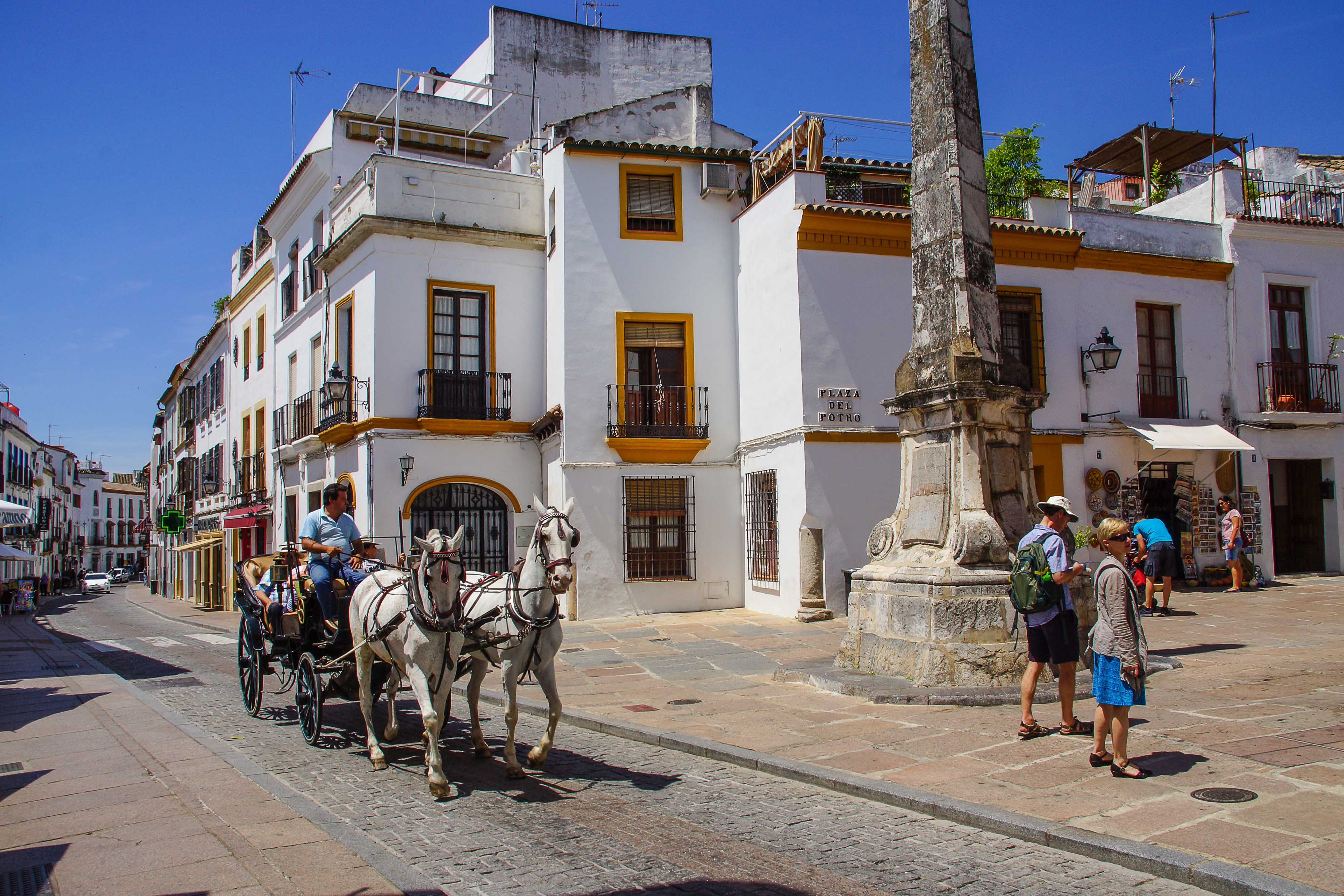esrr0006 oost andalusie 38
