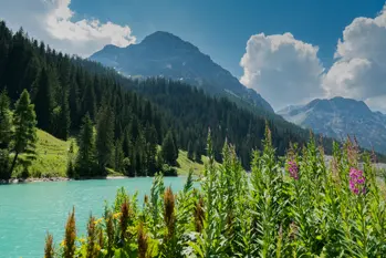summer mountain landscape with turquoise lake and wildflowers in the swiss alps near arosa