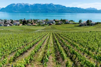 wijnvelden lavaux 2 vanuit gstaad