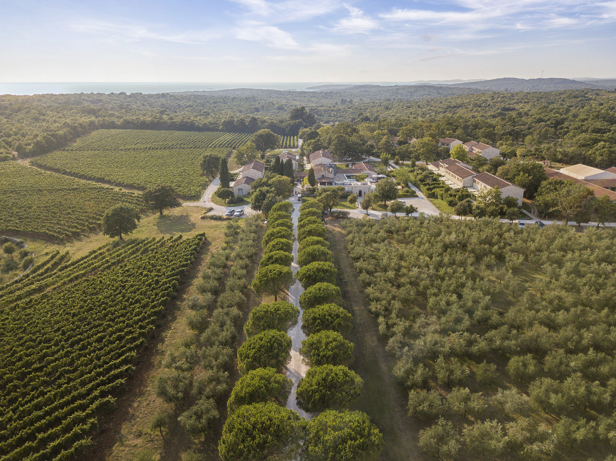 wine hotel meneghetti ligging