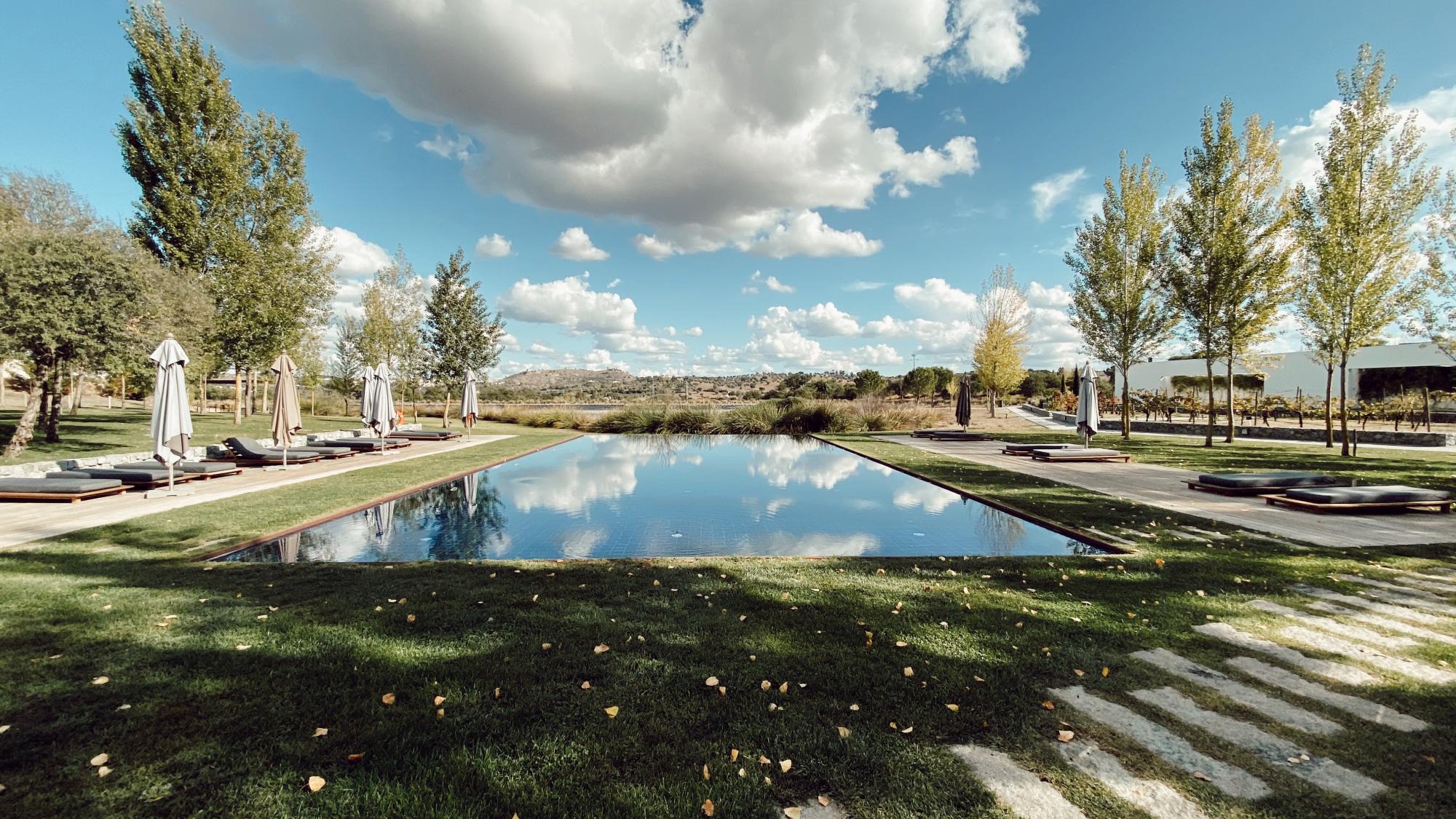 designhotel l and vineyards ligging