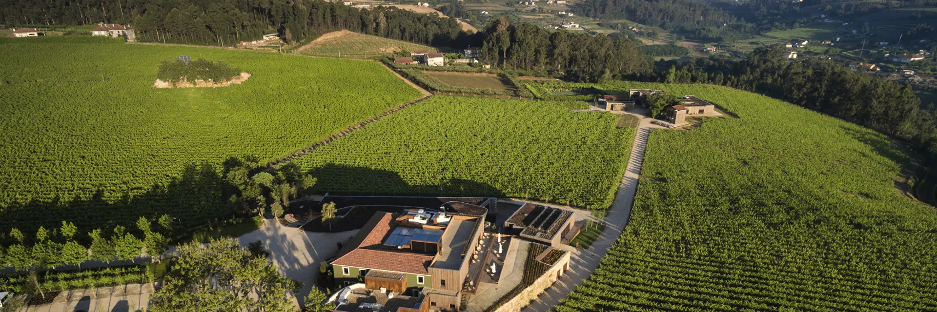 hotel monverde wine experience lliging