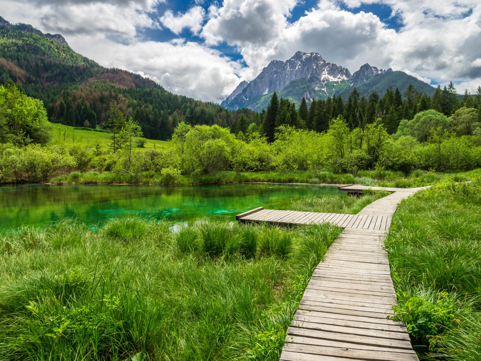 Slovenië