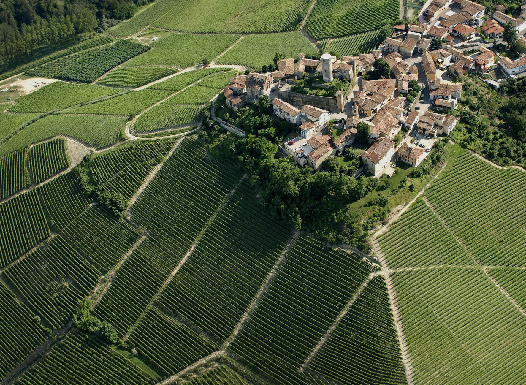 veld in italie