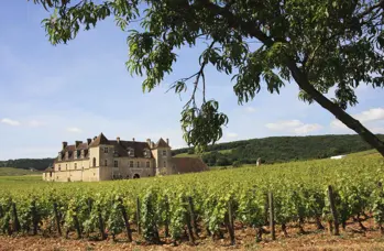 kasteel in de bourgogne streek frankrijk