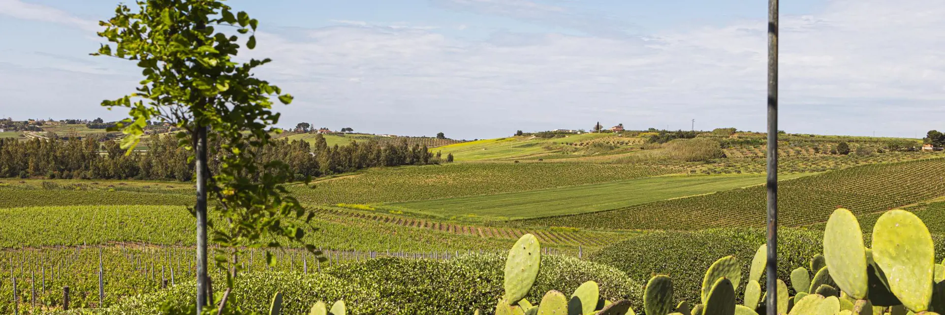 la foresteria ligging