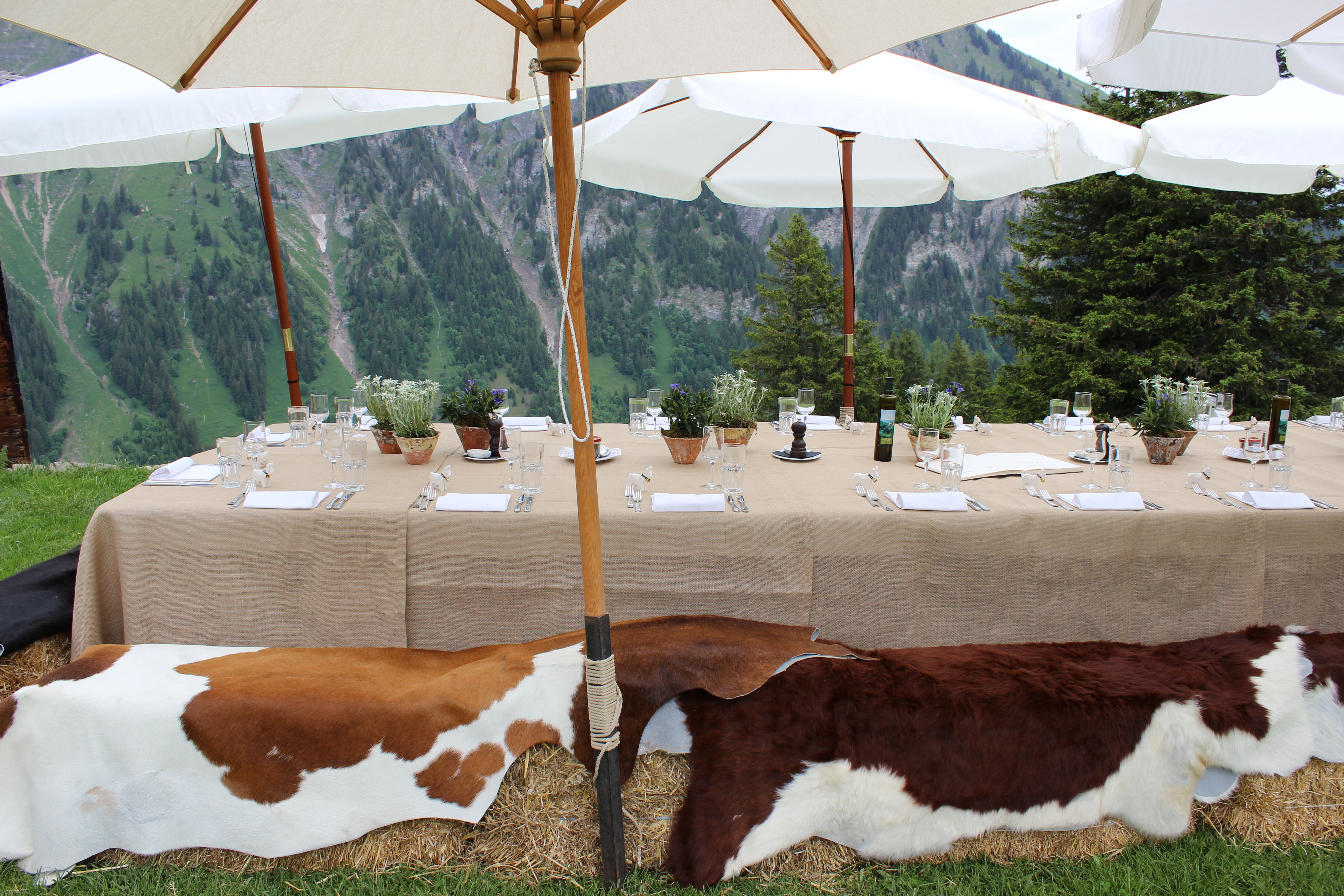 picknick zwitserland