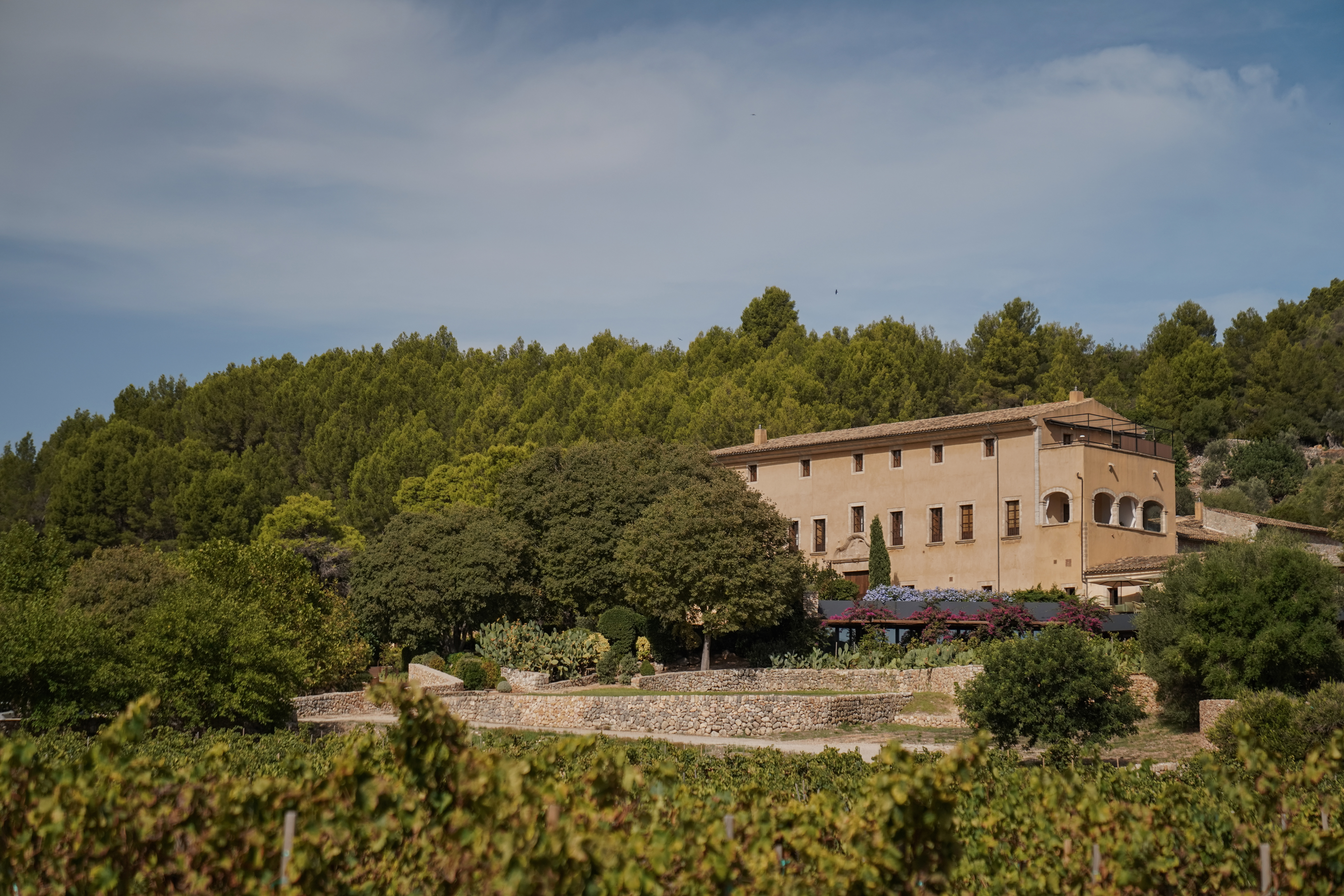 Designhotel Son Brull