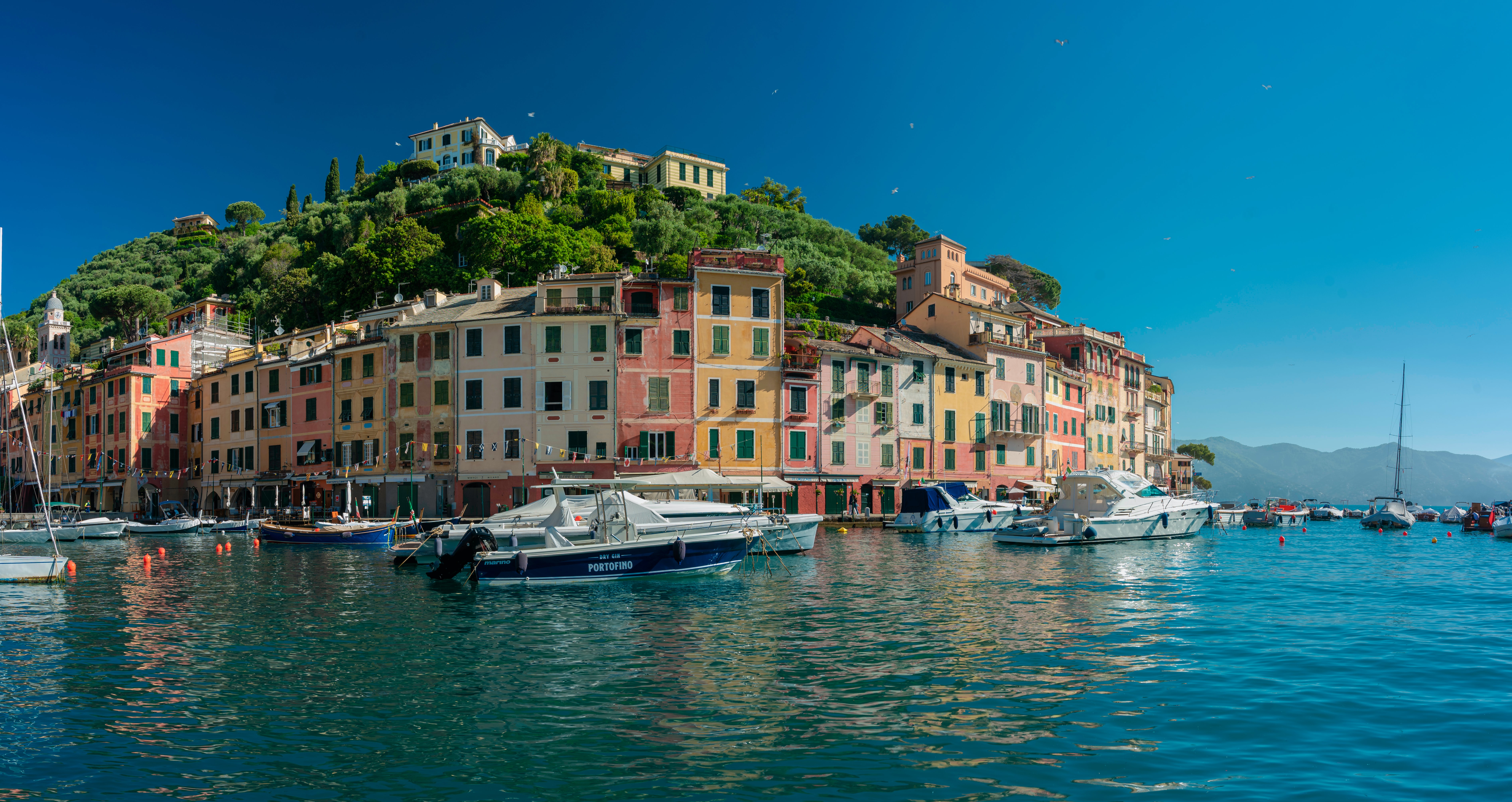 portofino 4