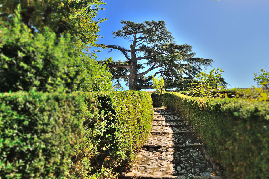 castello di monterado tuin