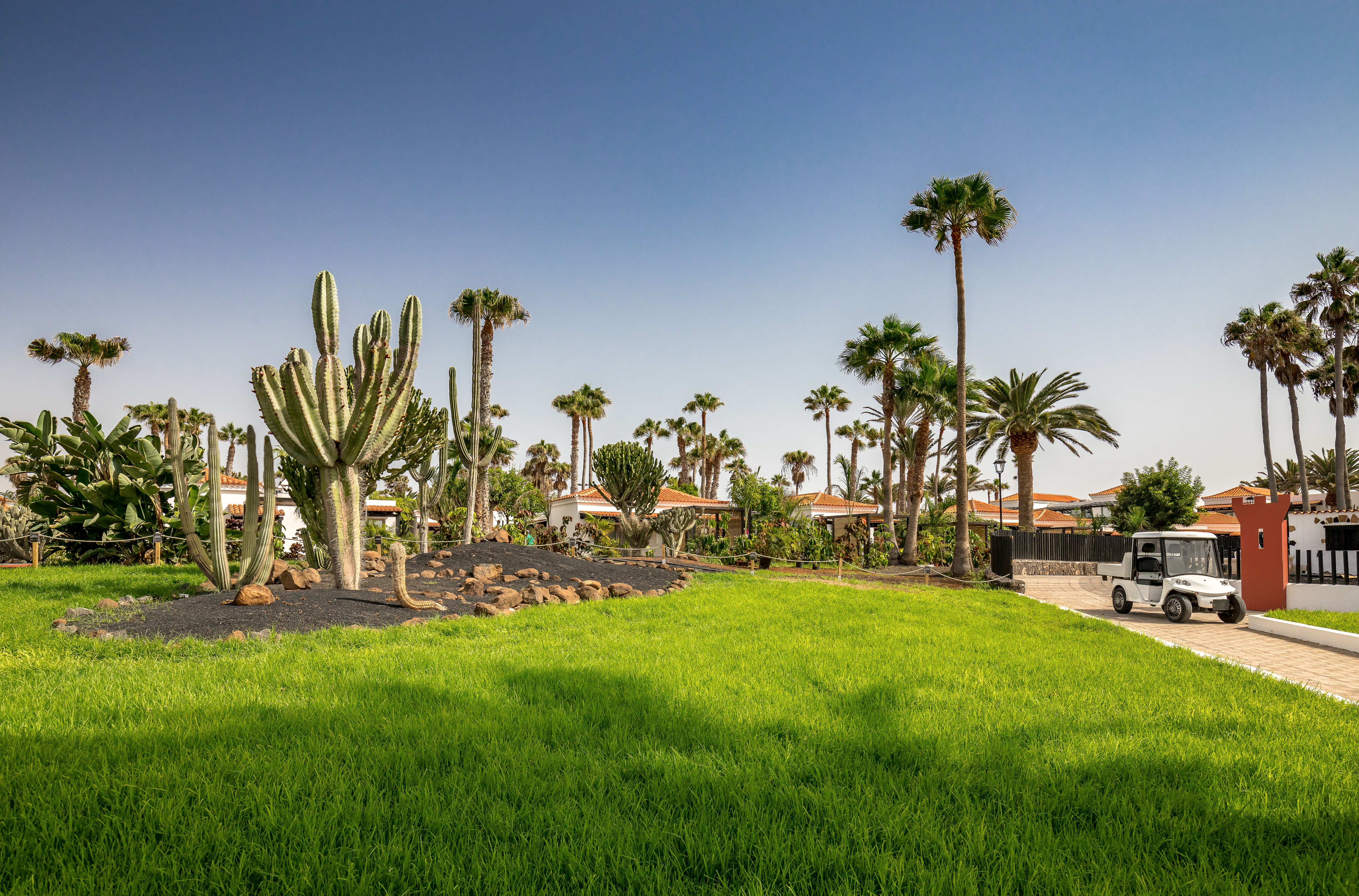 barcelo fuerteventura 3