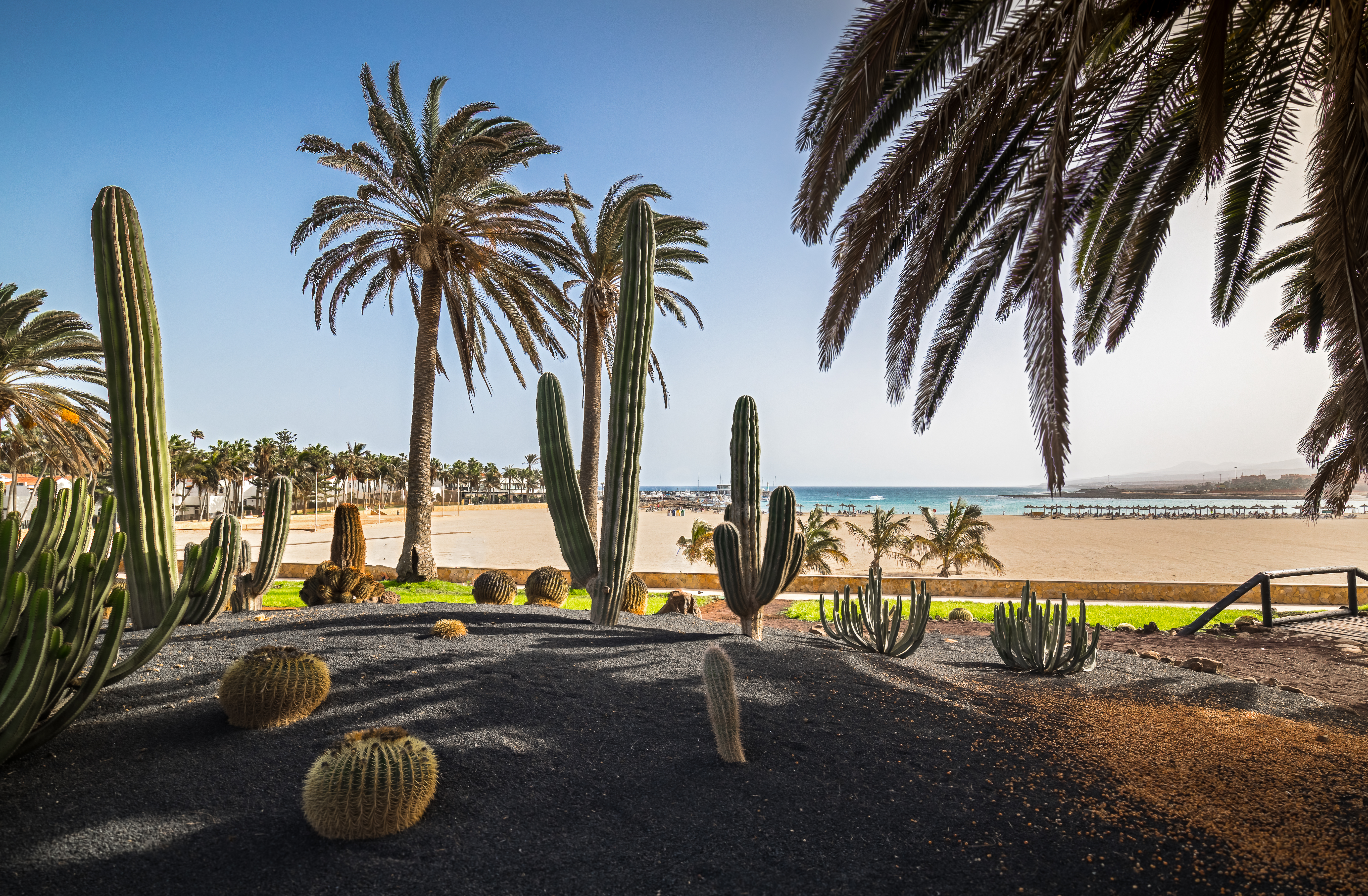 barcelo fuerteventura 8