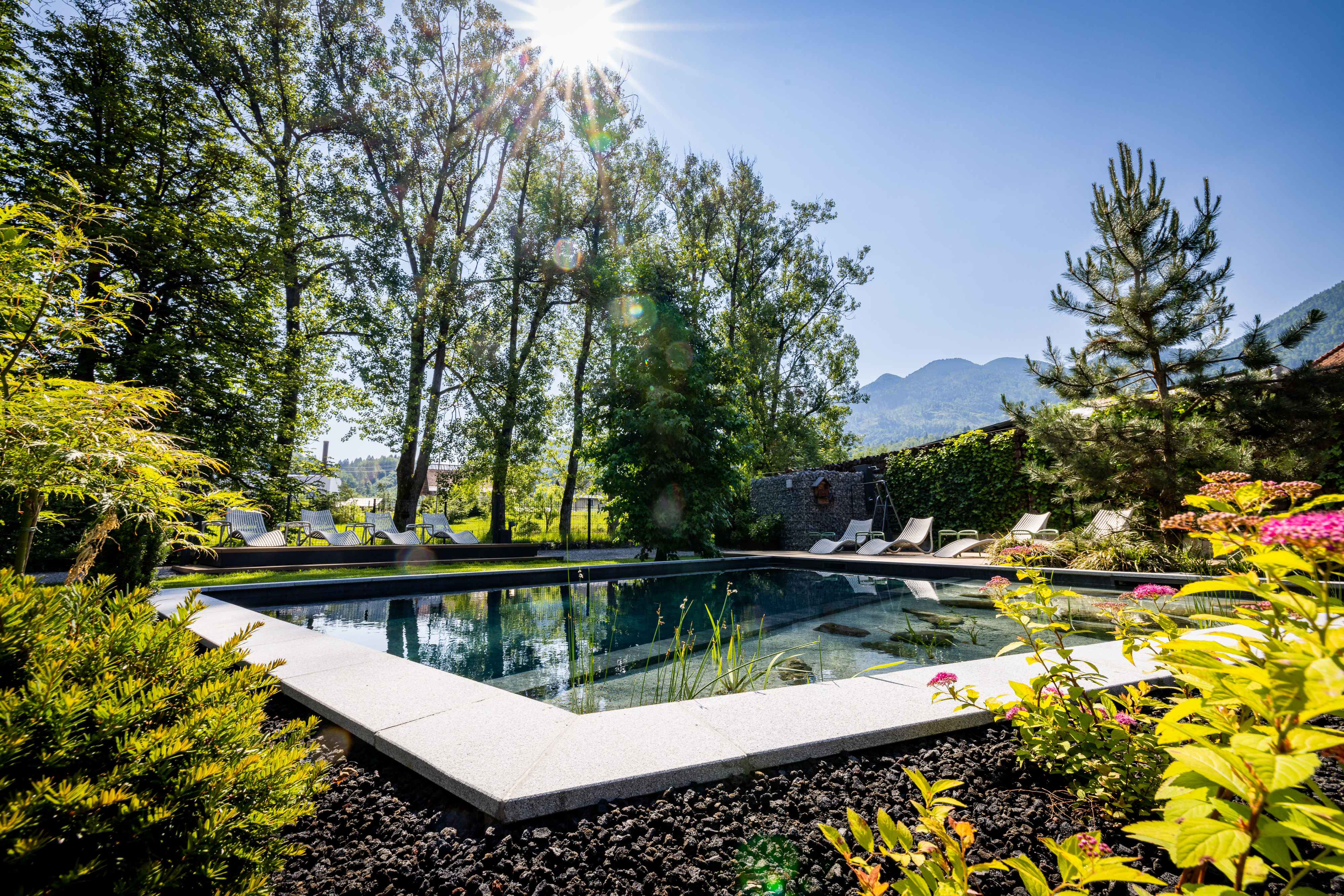 sunrose 7 boutique hotel bohinj biodynamic swimming pool 3