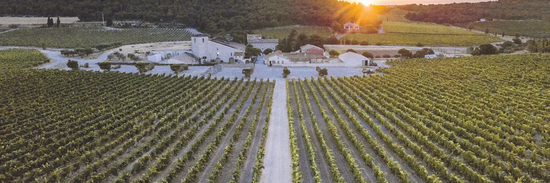 5 chateau l hospitalet wijndomein