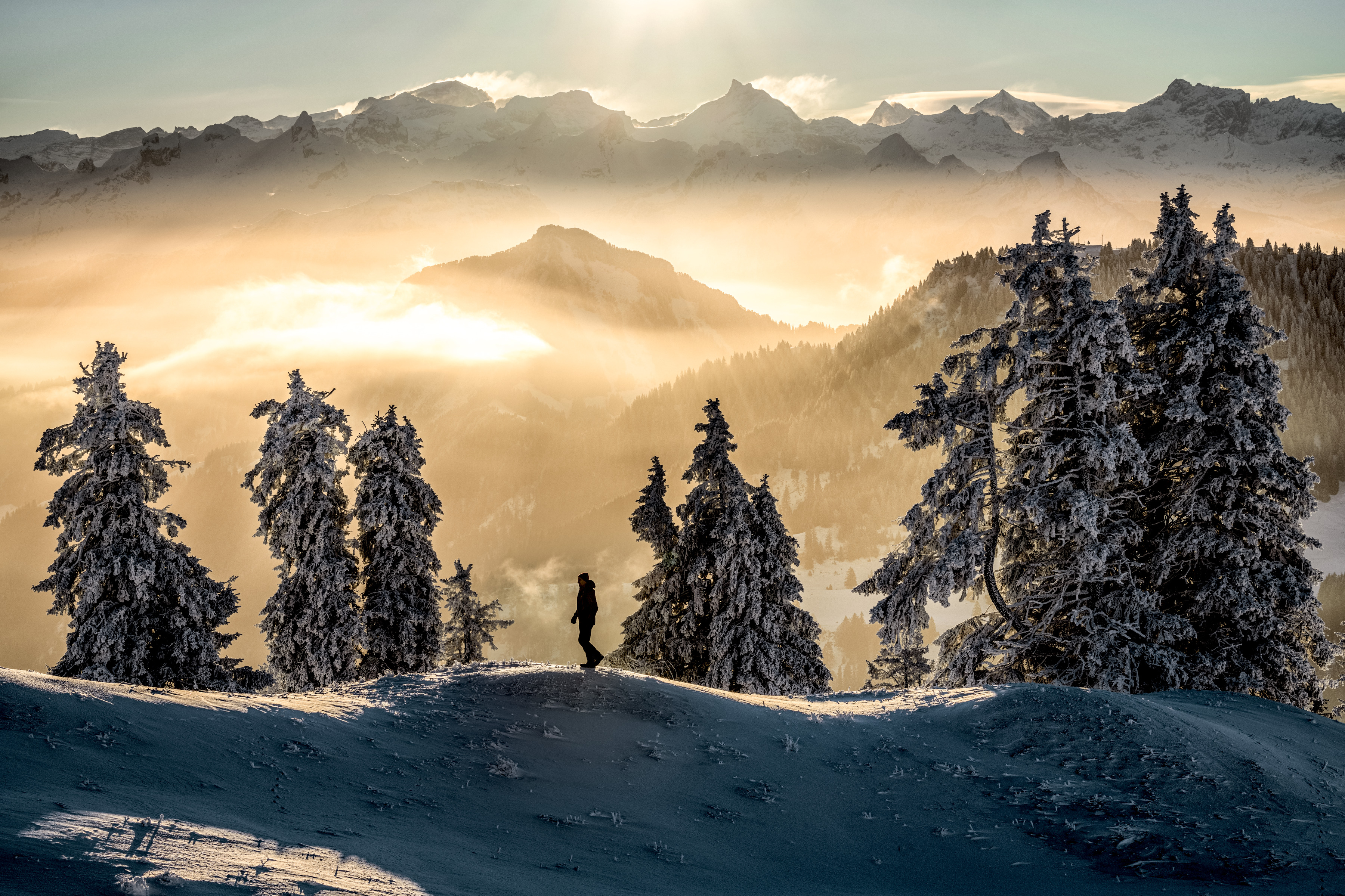 rigi winter hikers