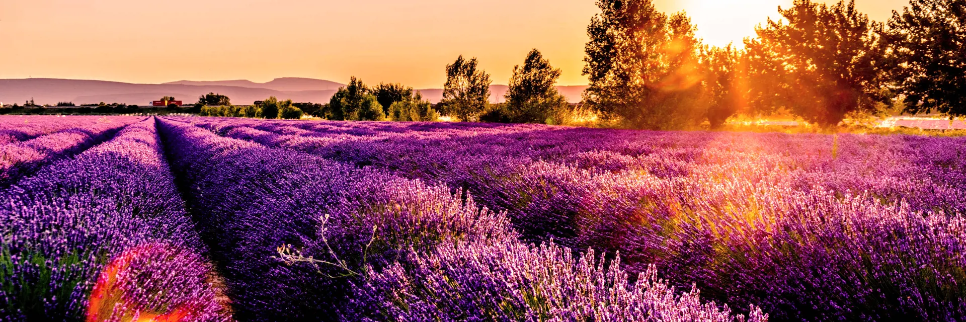 Provence
