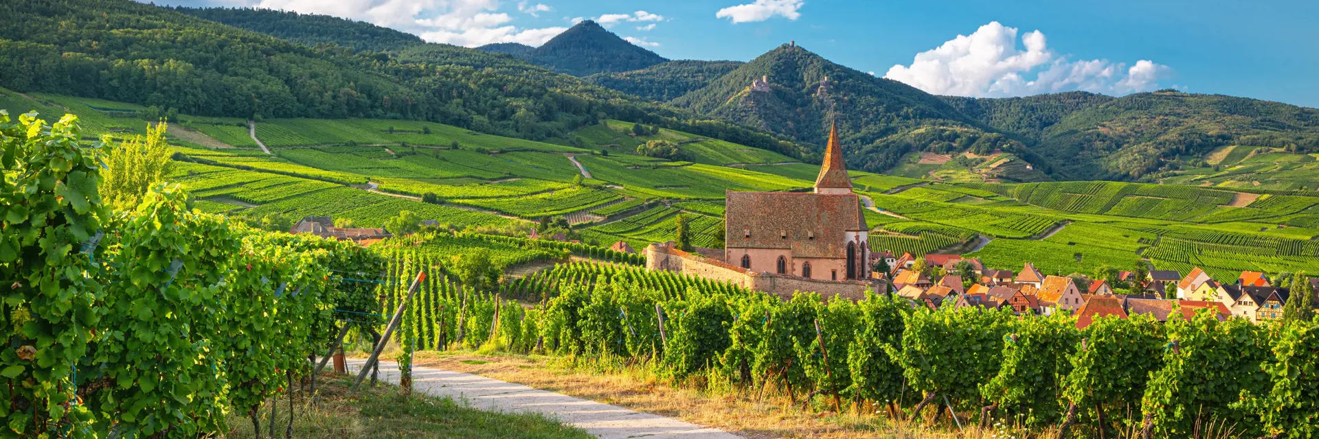 wandelvakantie elzas frankrijk