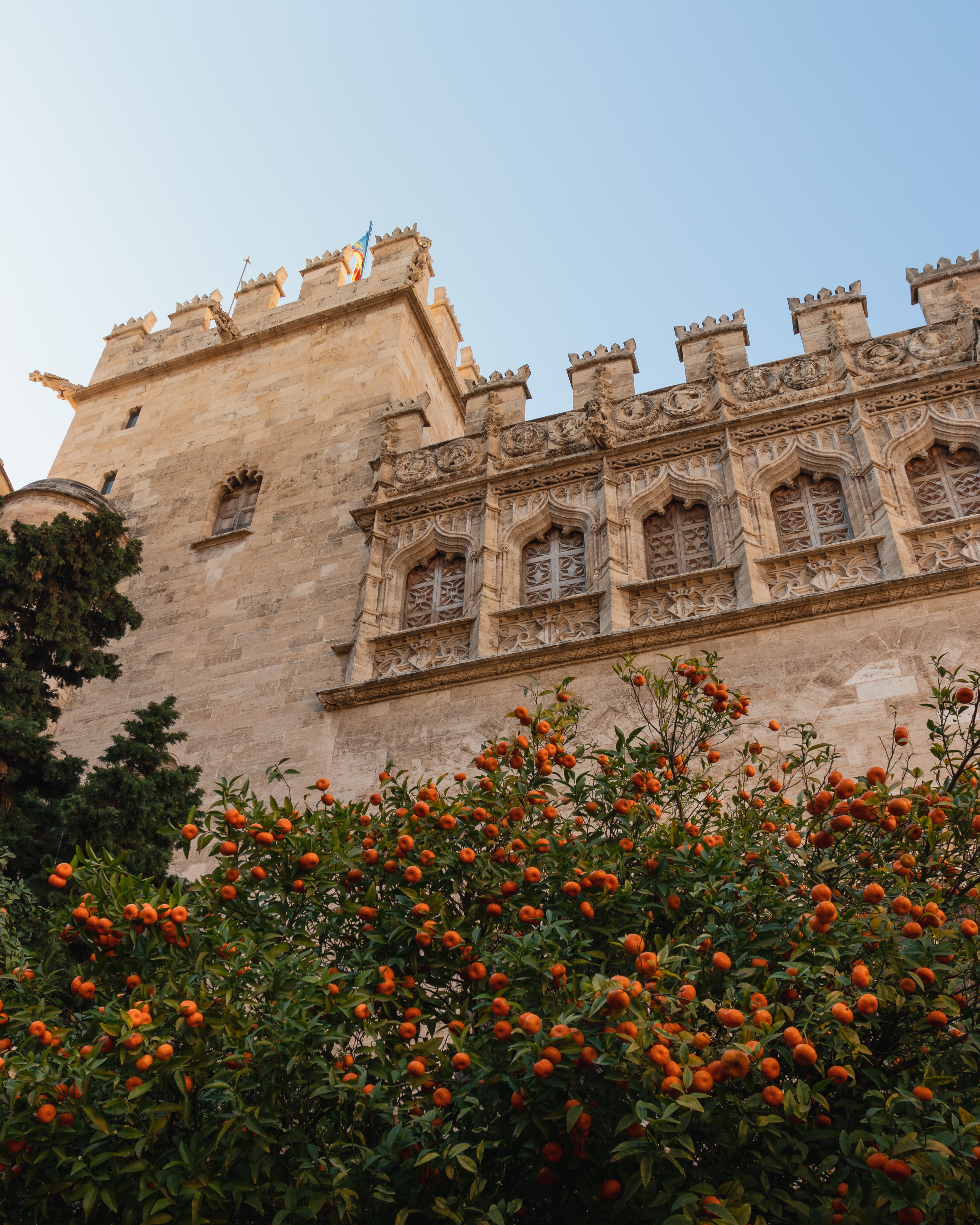 appelsienen valencia