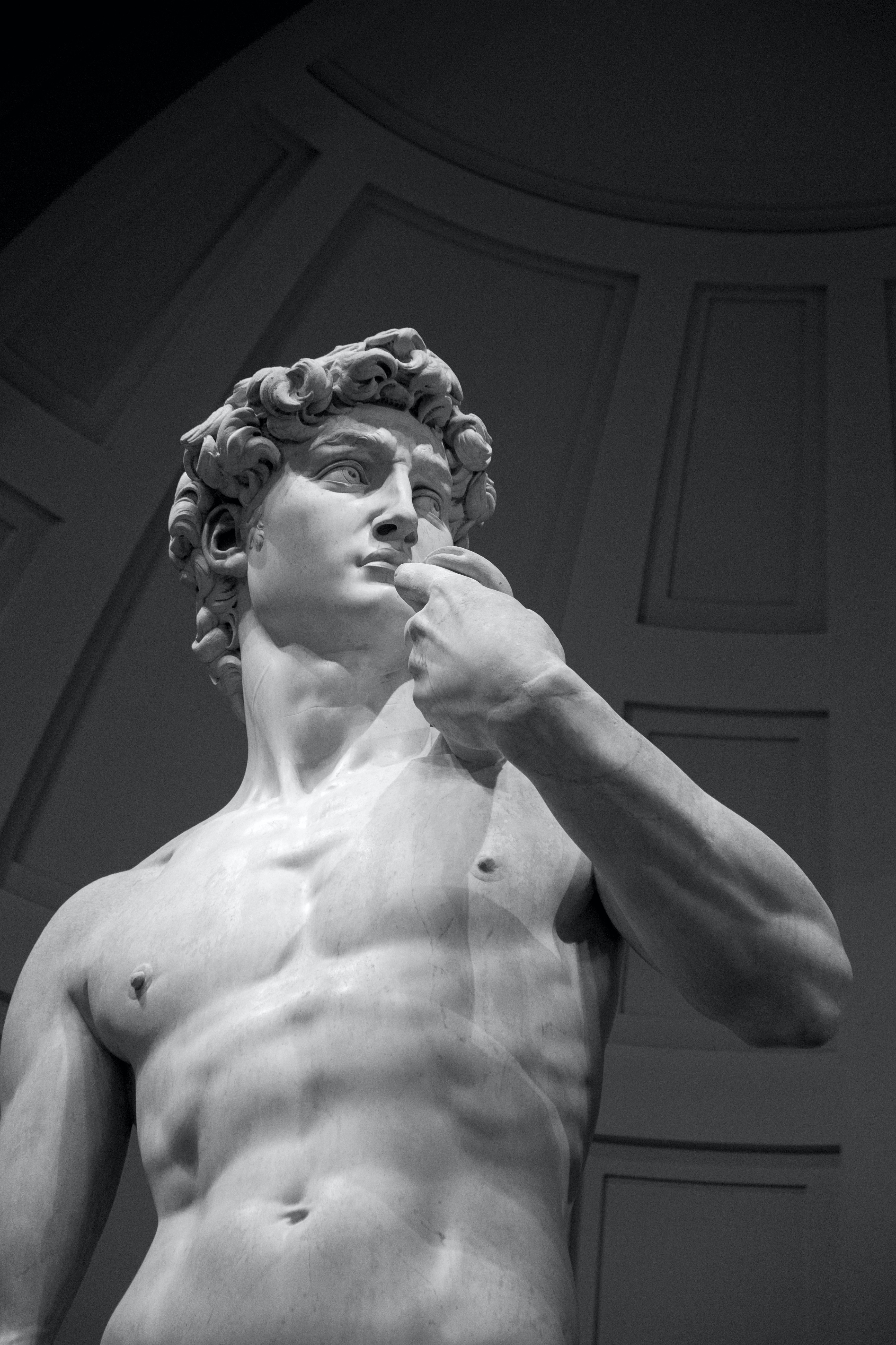 firenze david michelangelo