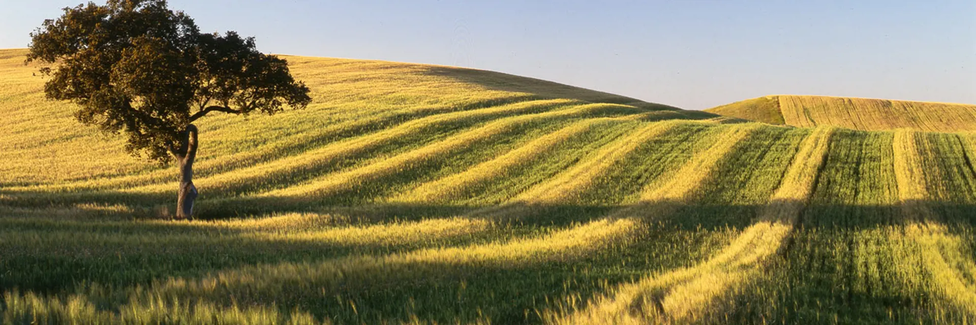 Alentejo