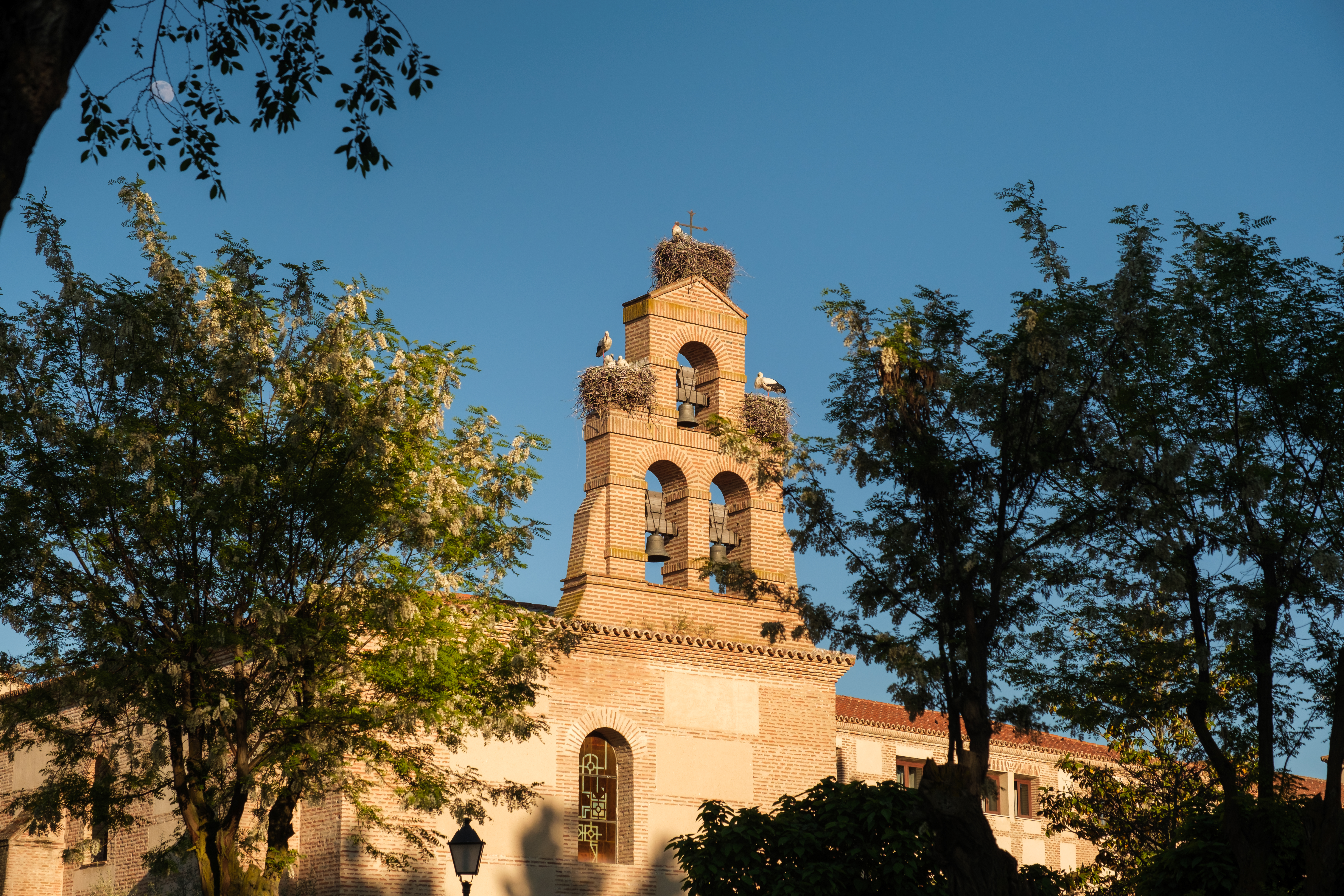 2 convent details