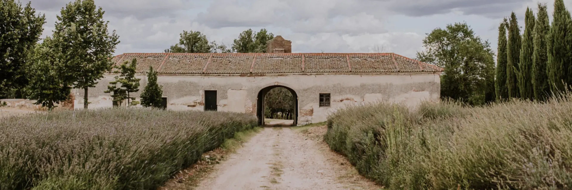 castilla termal olmedo ligging