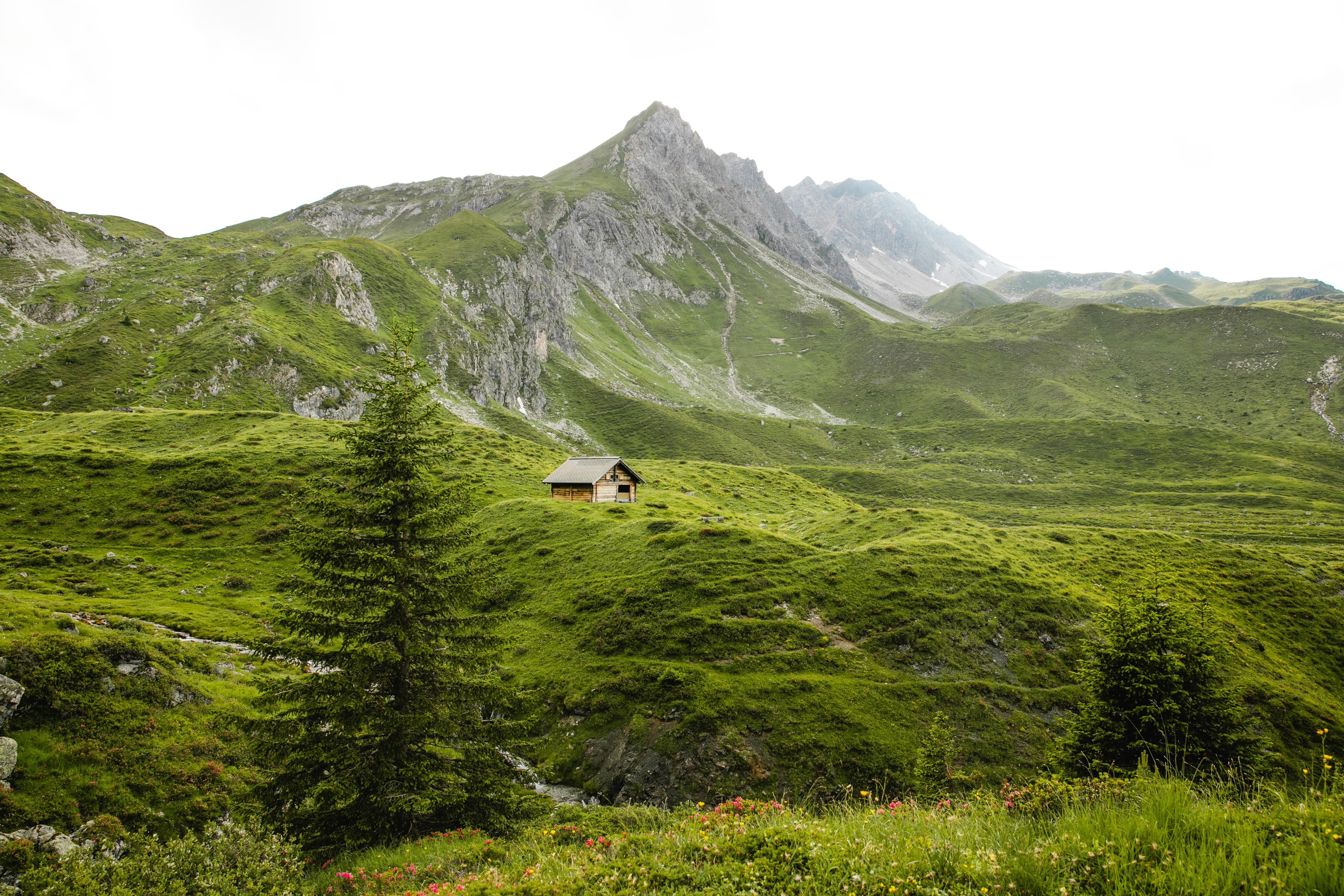 arosa1