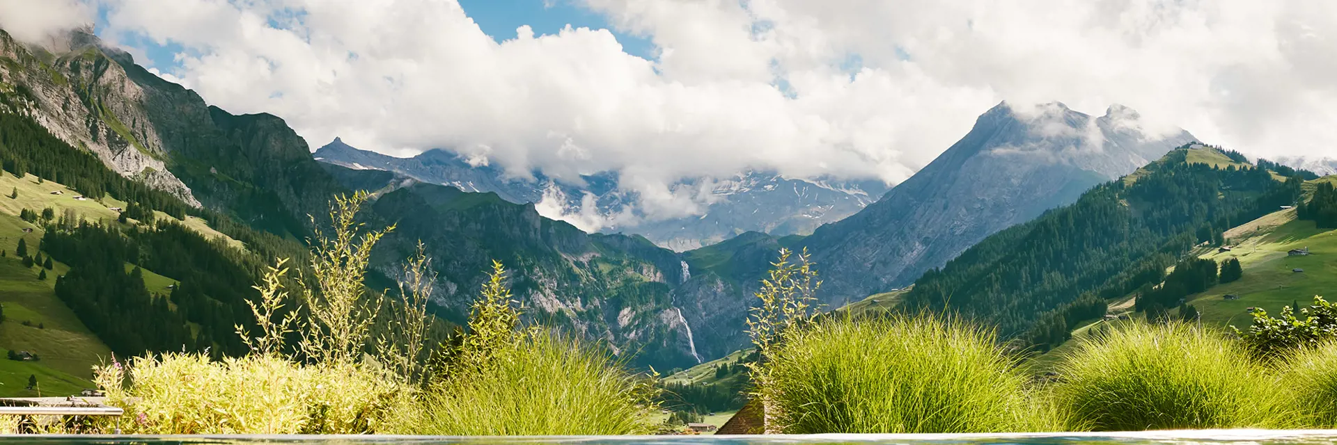 3 the cambrian 014 web