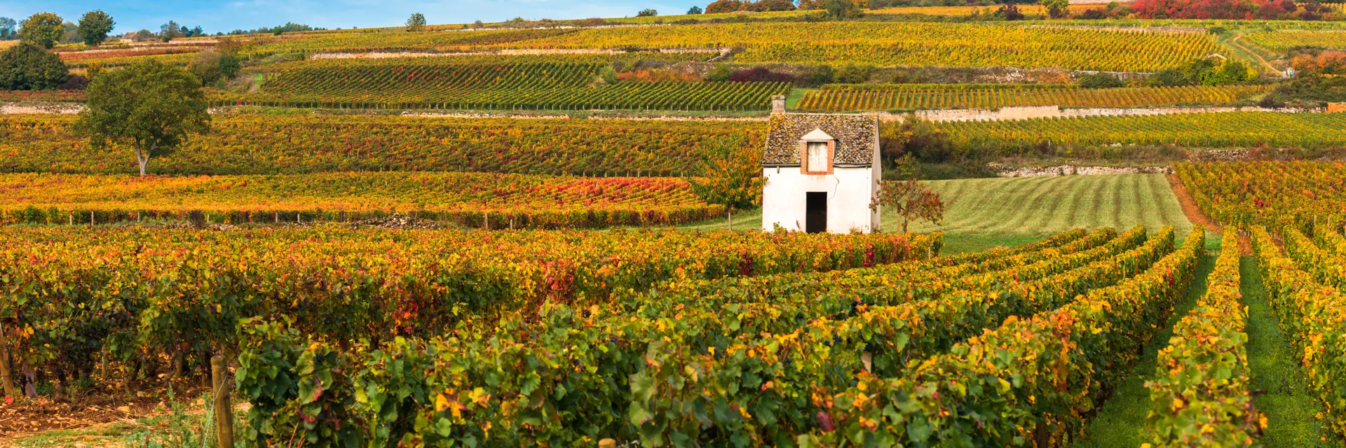 Bourgogne-Franche-Comté