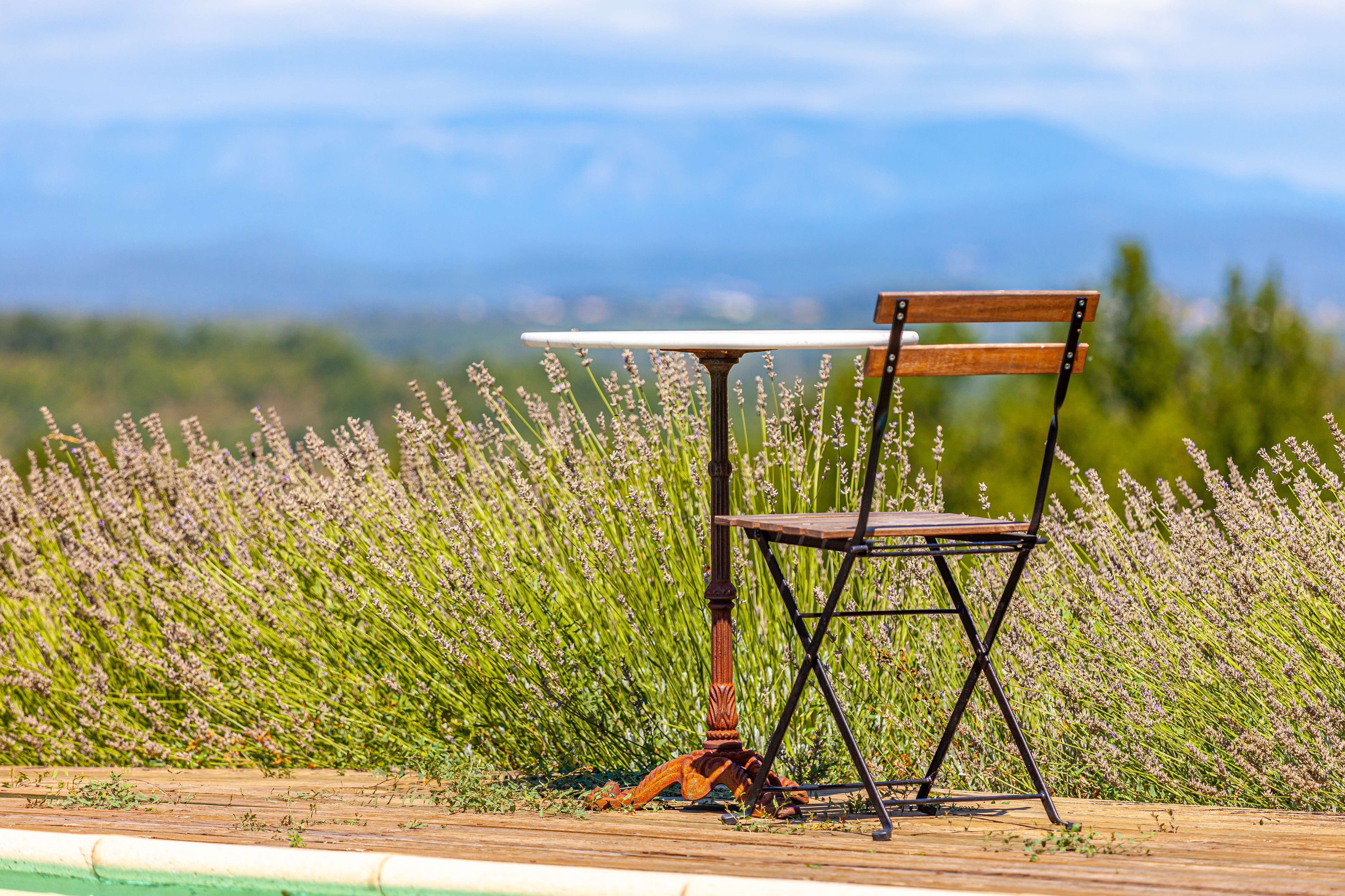 Provence-Alpes-Côte d'Azur