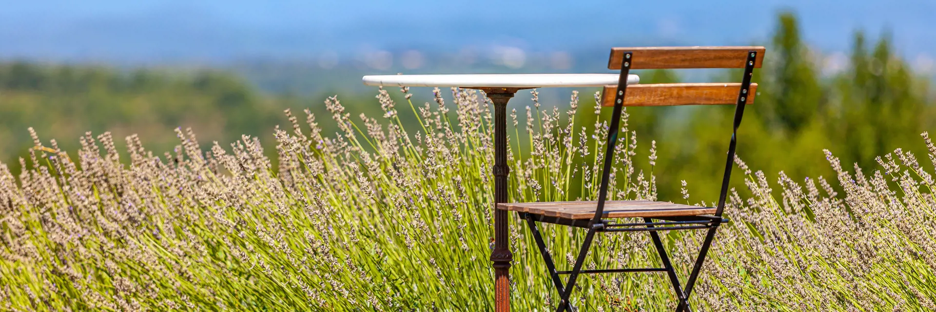 Provence-Alpes-Côte d'Azur