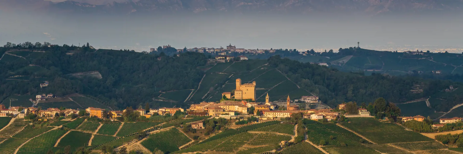 wijnreis piemonte uitzicht