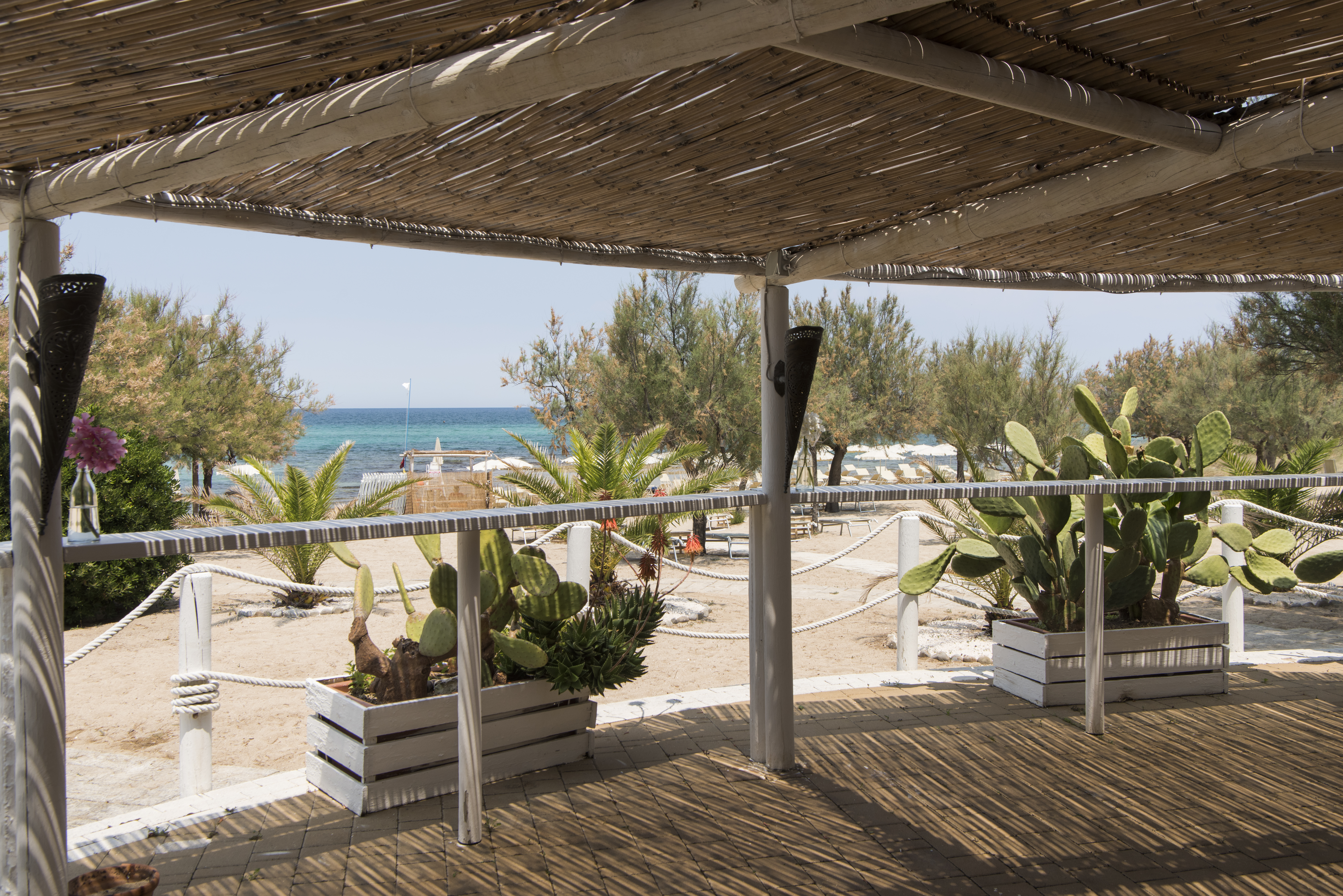 6 beach