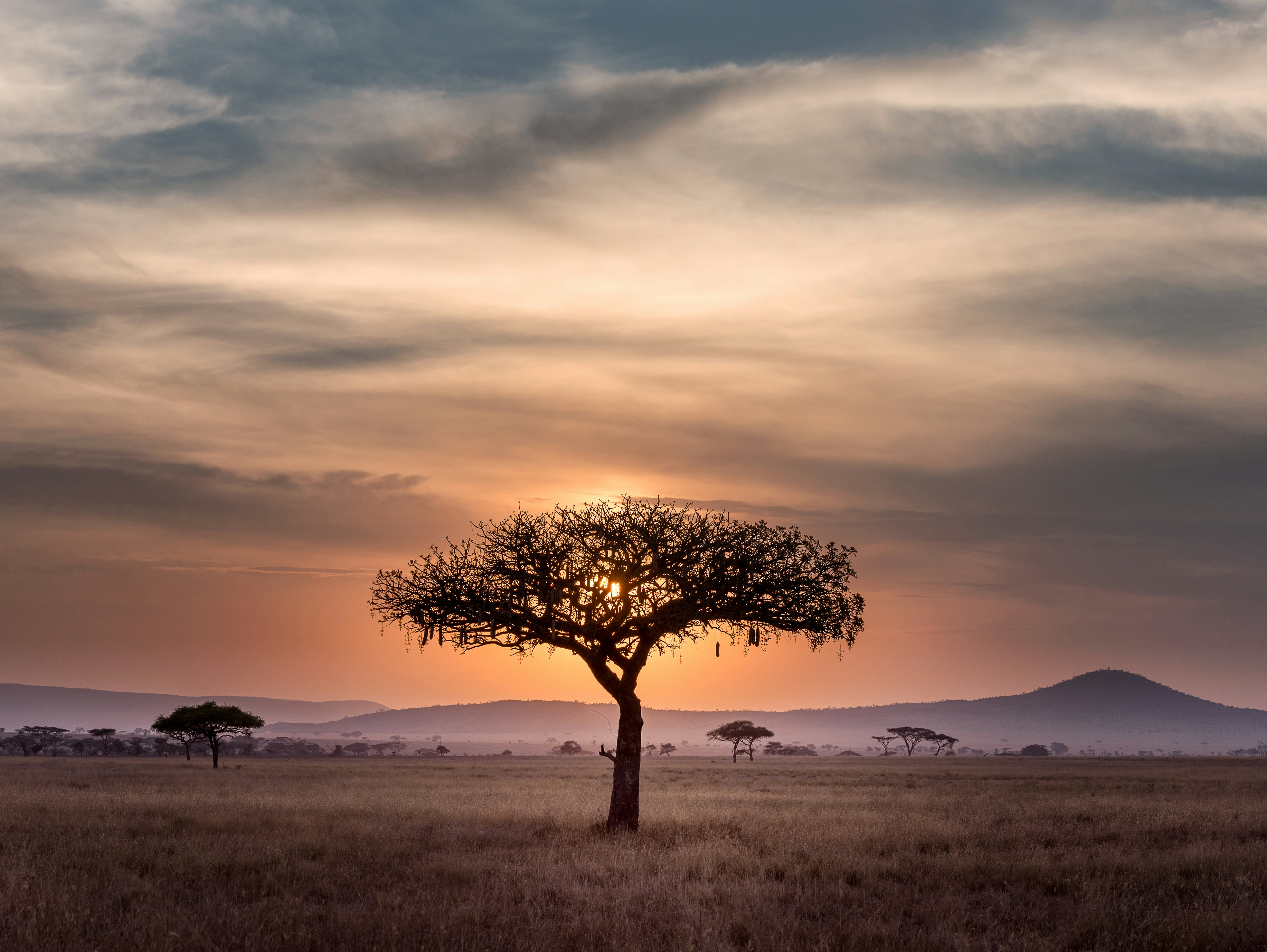 sunset in serengeti