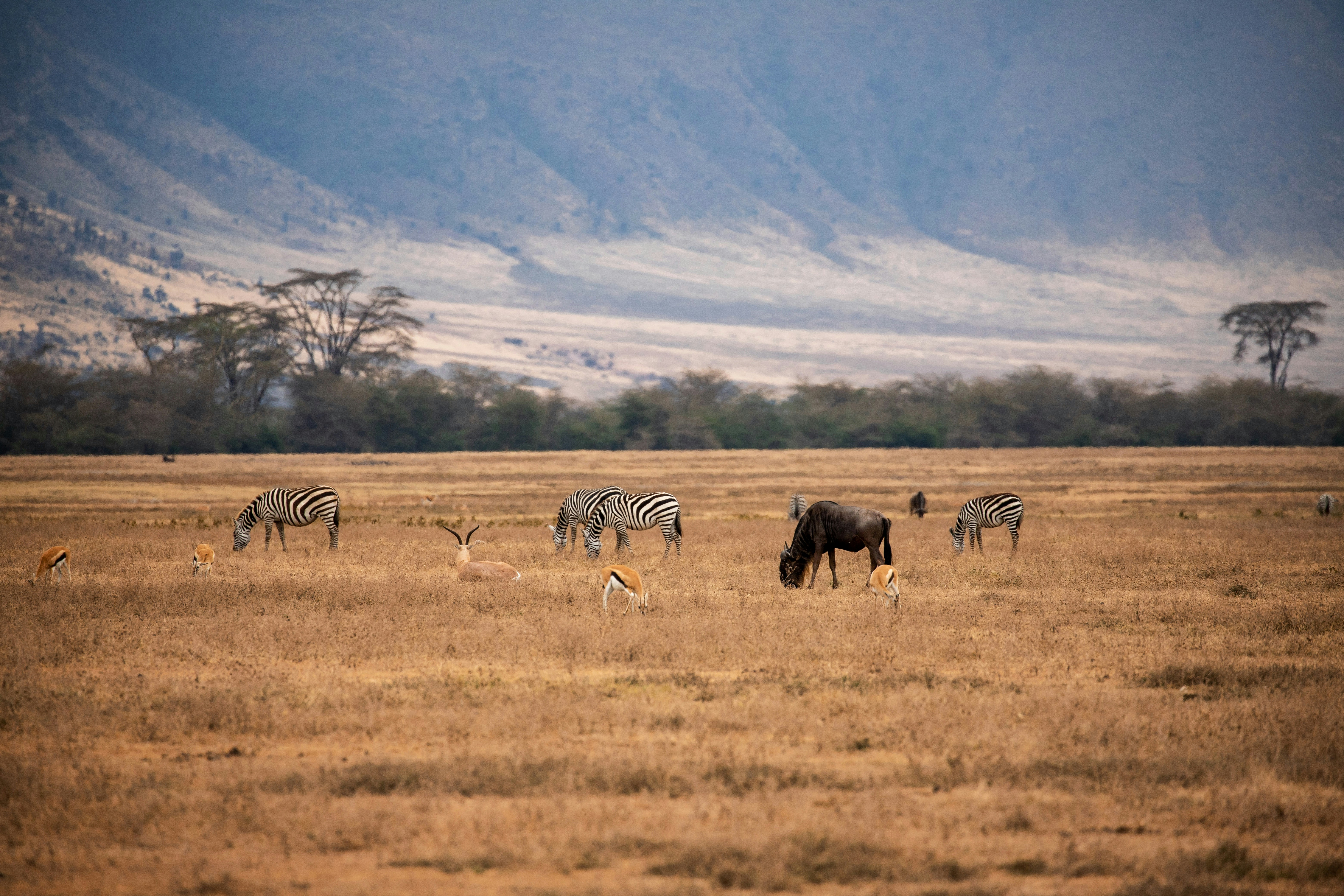 ngorongoro crater tanzania