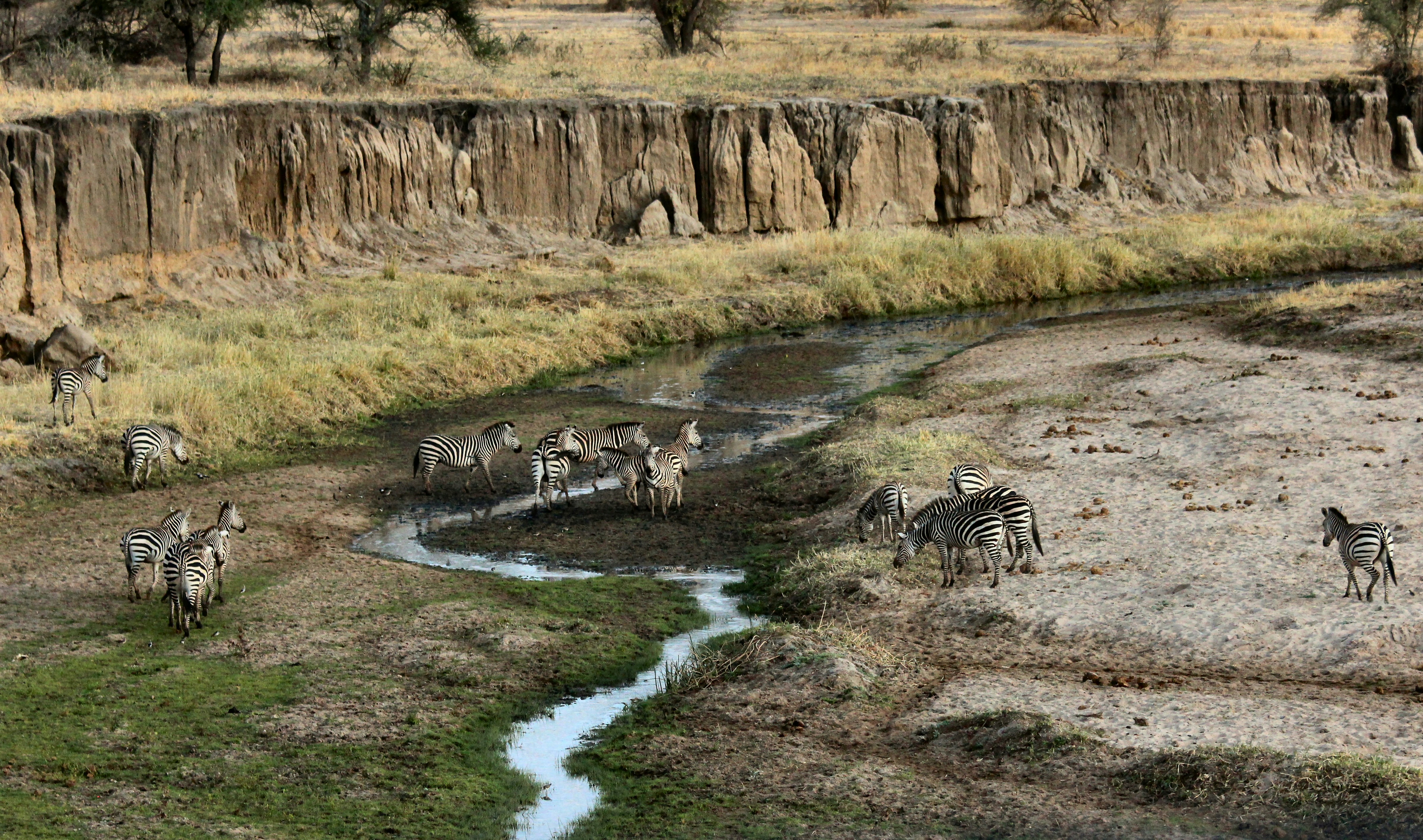 tarangire national park tanzania