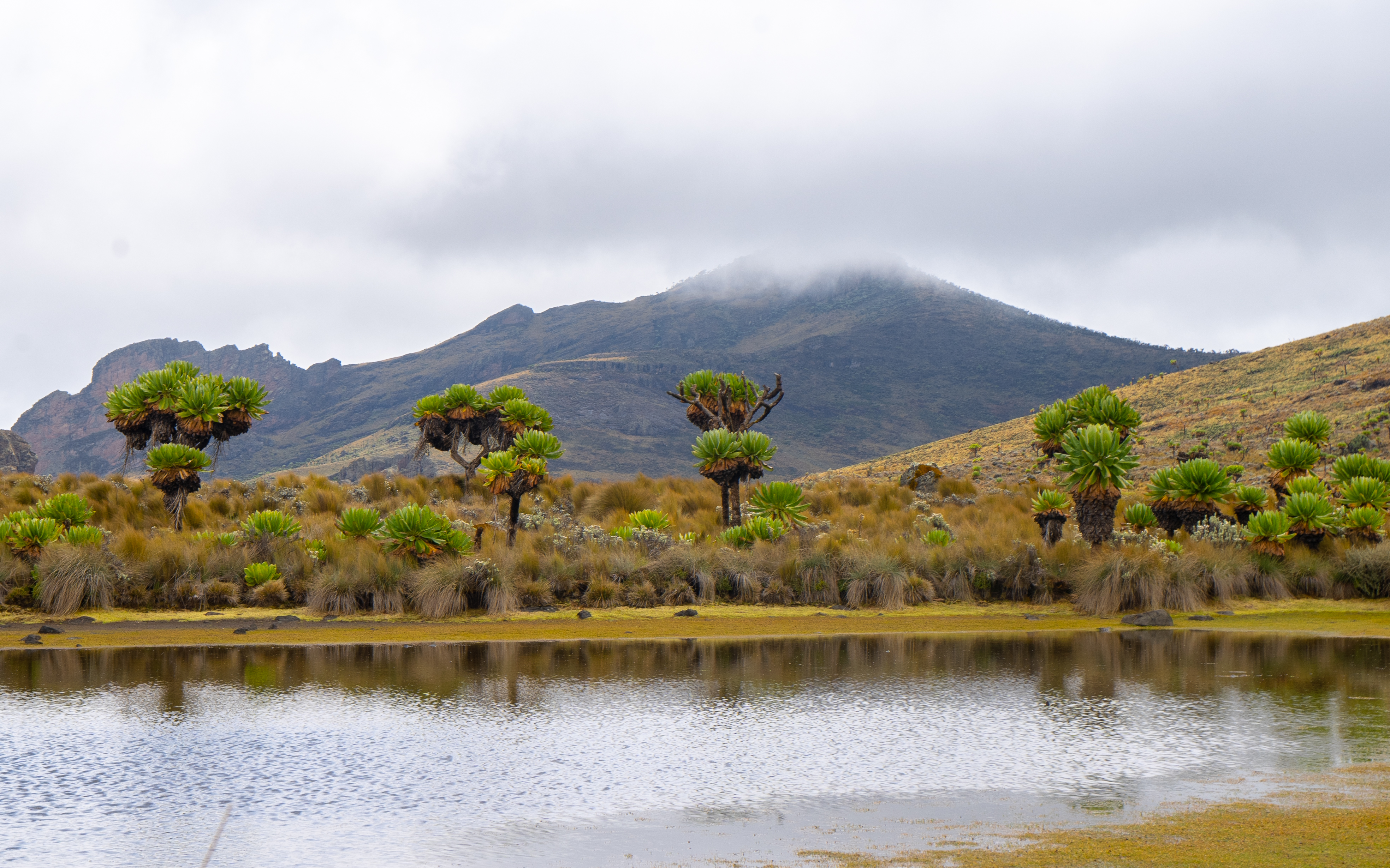 elgon mountains
