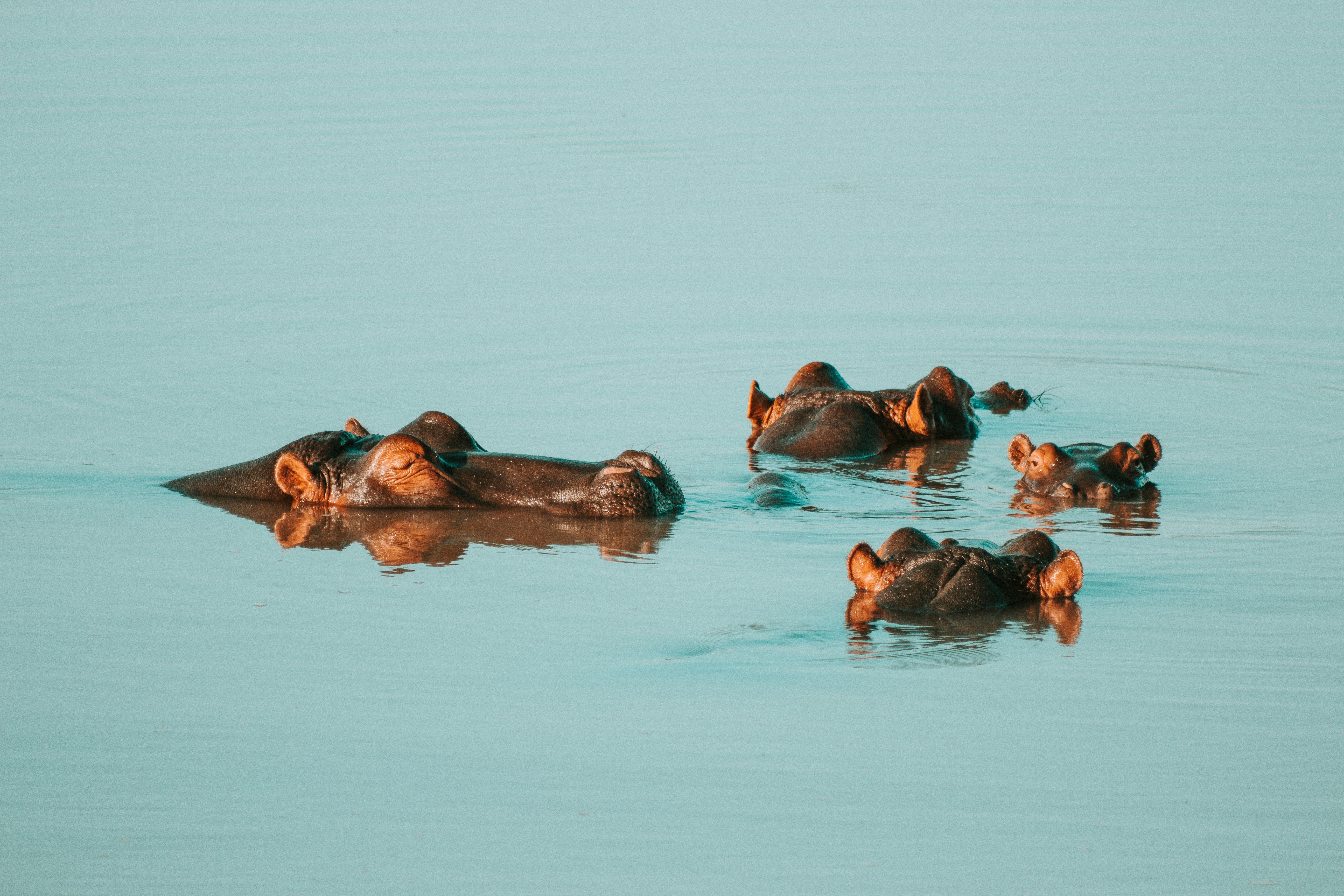 wade lambert 2q5adzuq2m4 unsplash