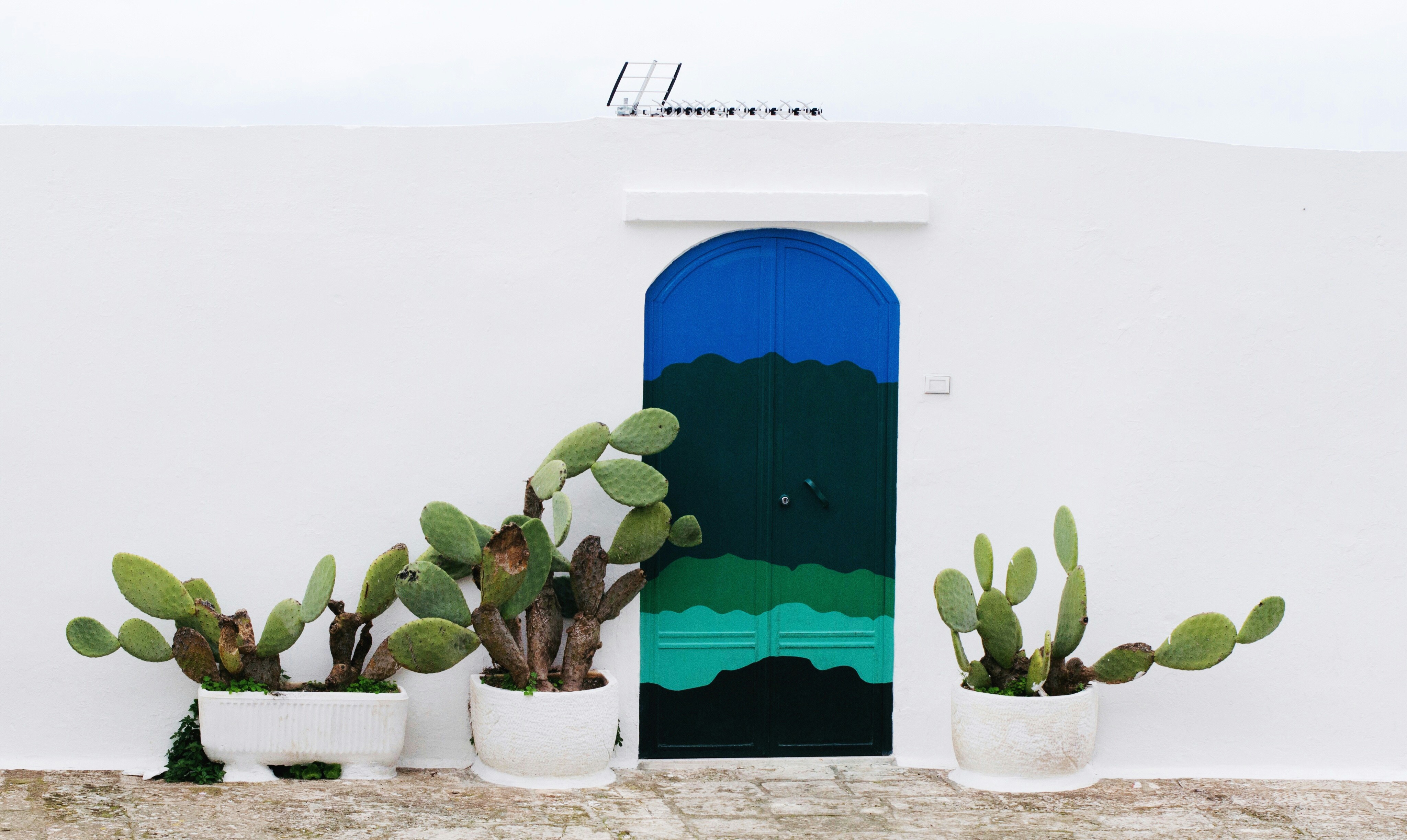al nik 77hrb1xrzvc unsplash